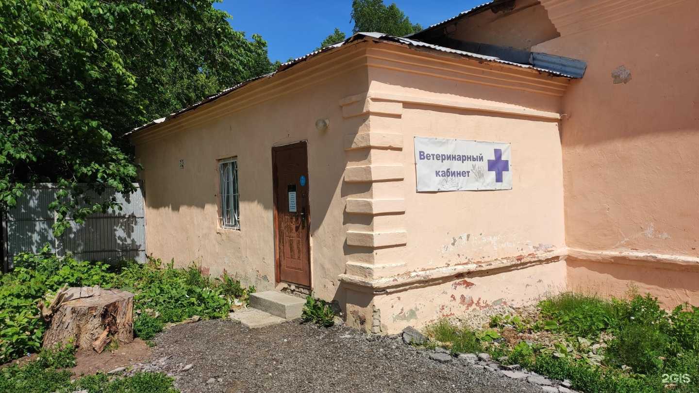 Отзывы на компанию ЗооРитм в Перми c фото