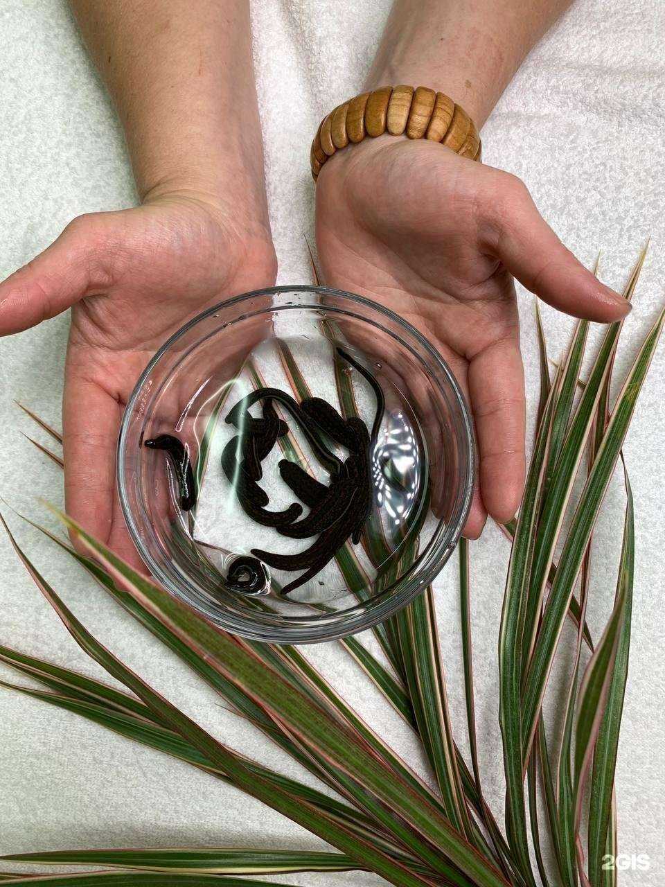 Отзывы на компанию Здрава Югры в Сургуте c фото