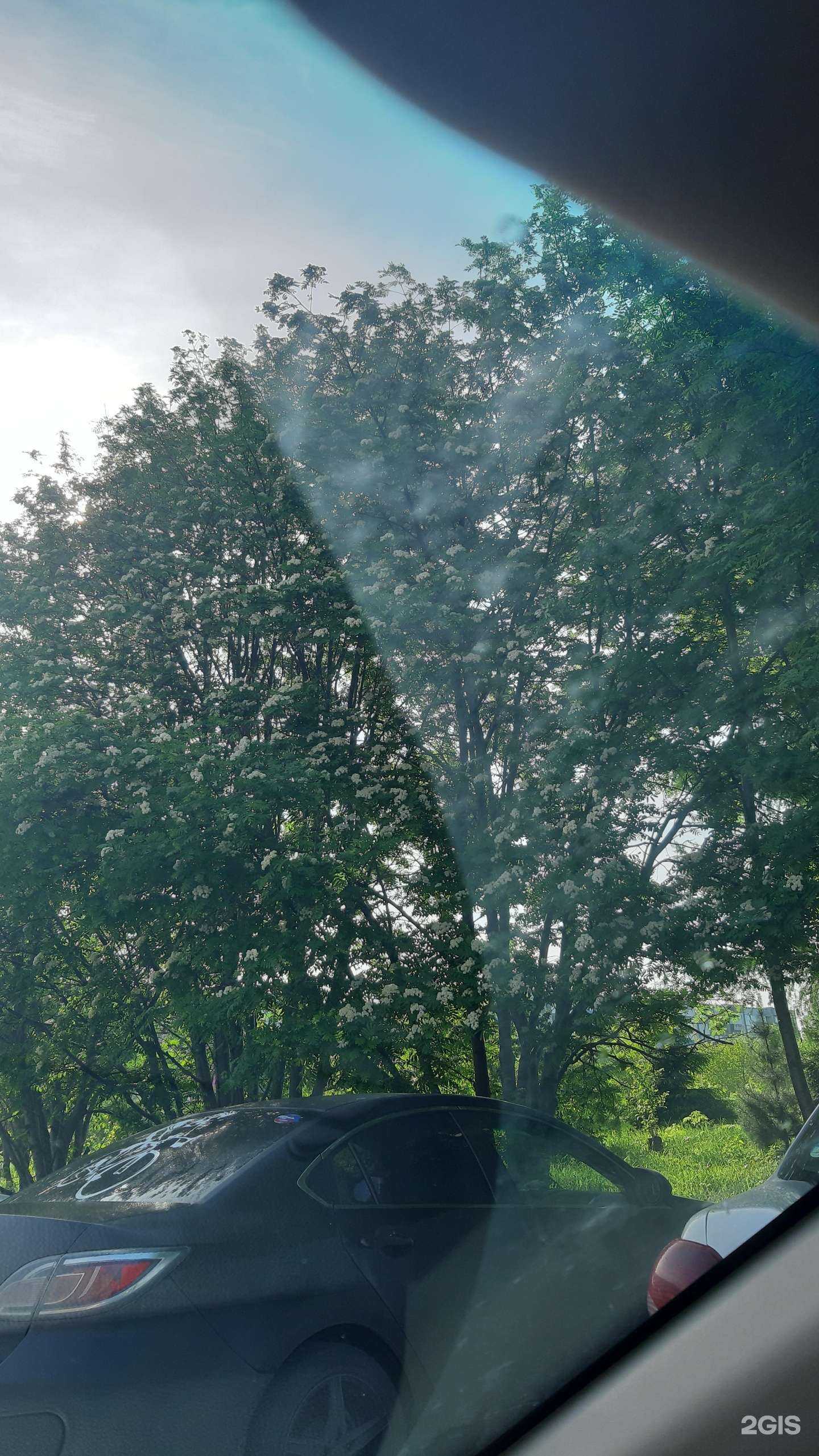 Отзывы на компанию Enot в г. Прокопьевск c фото