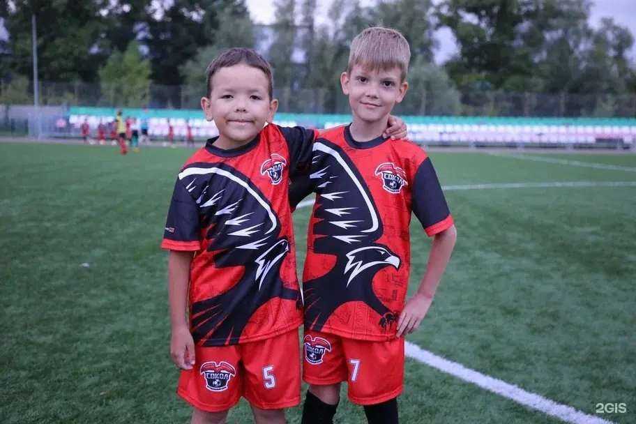 Отзывы на компанию Сокол в Казани c фото