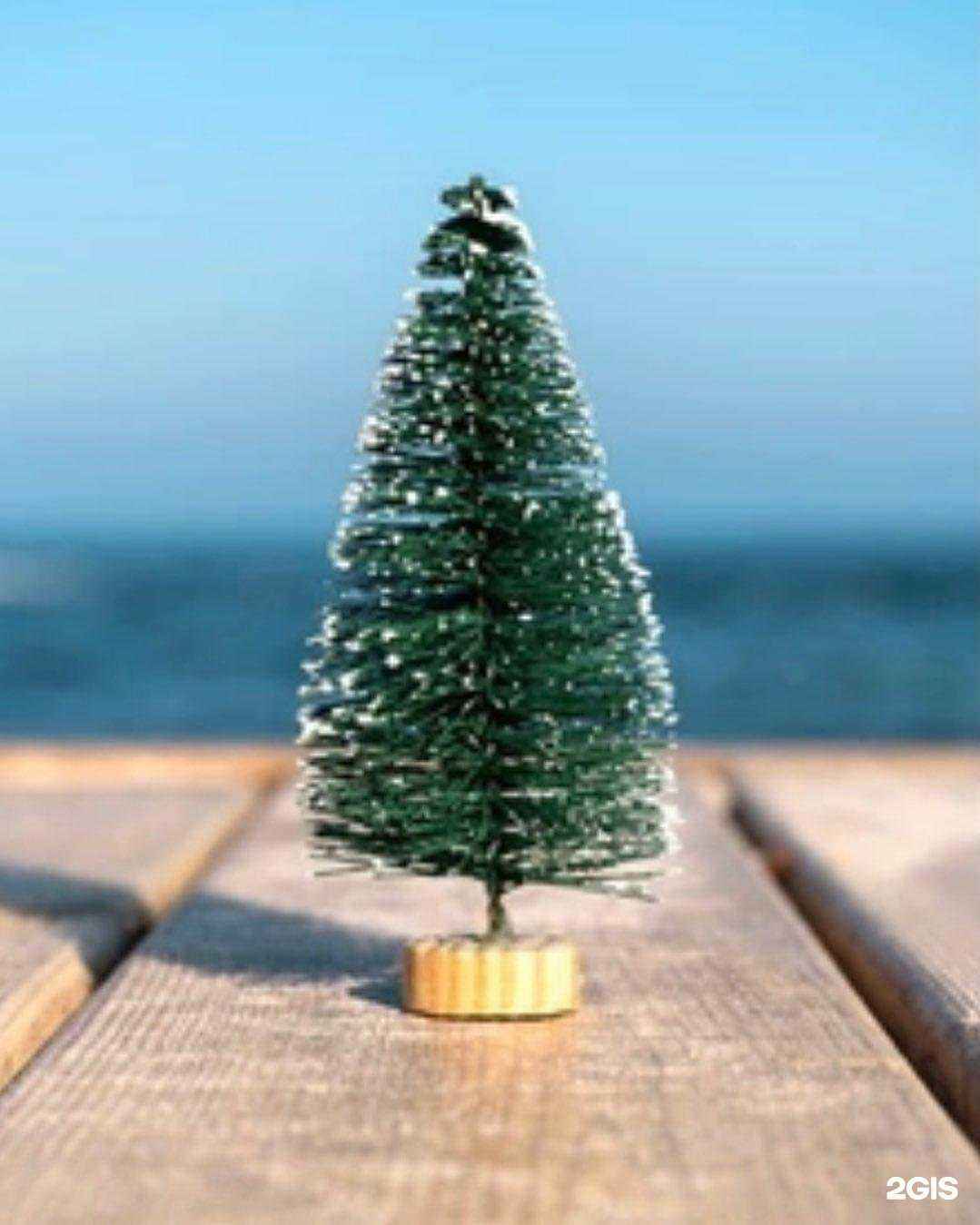 Отзывы на компанию Траст тур в Красноярске c фото