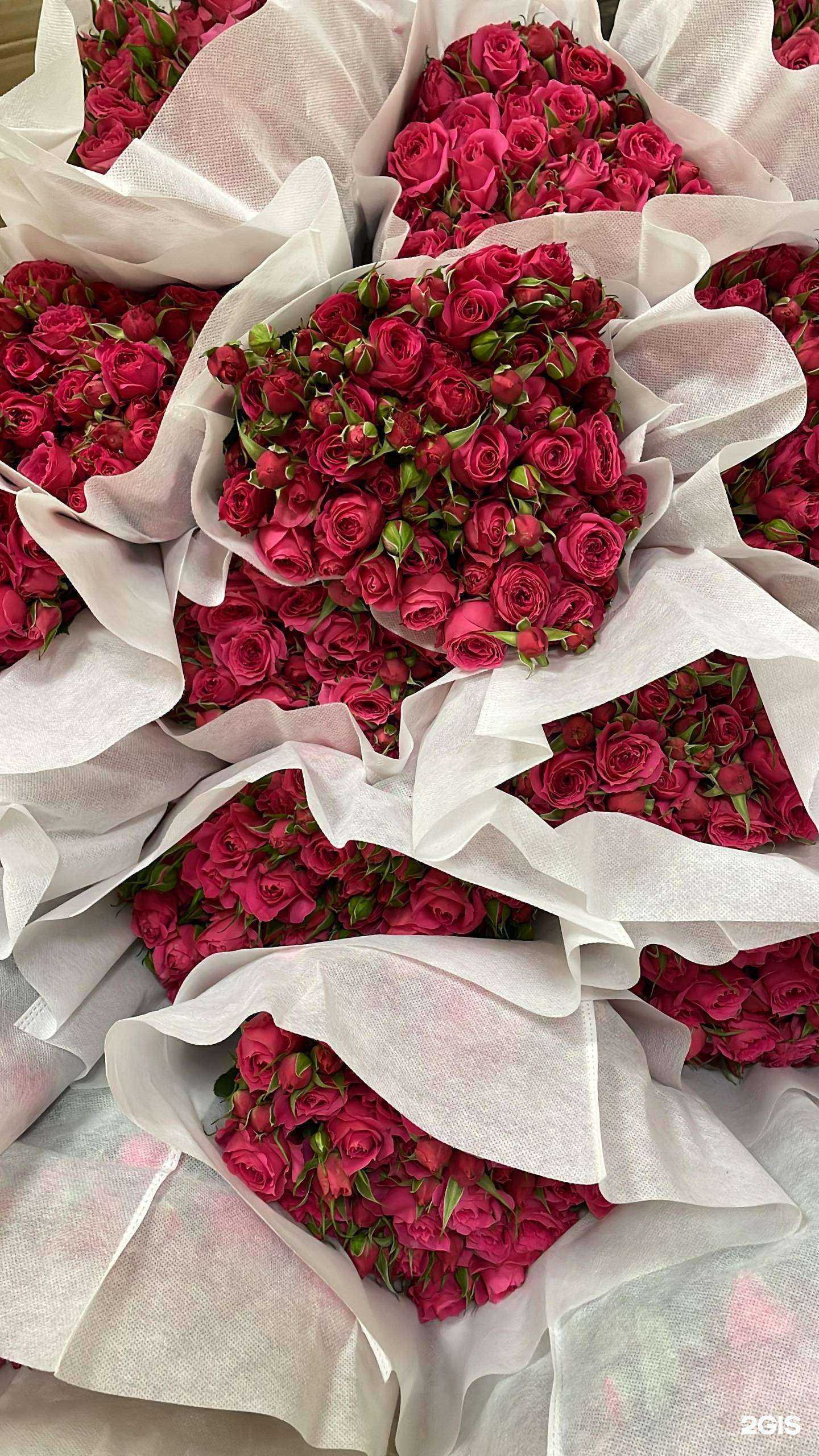 Отзывы на компанию Склад в г. Томск c фото