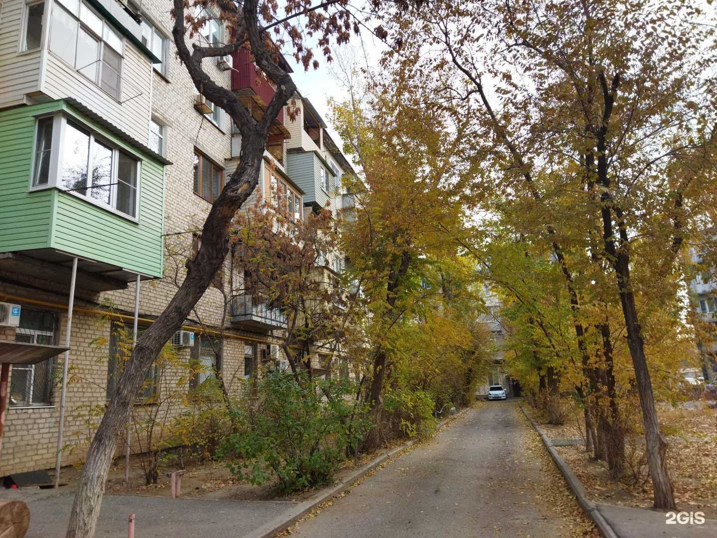 Отзывы на компанию Мой грумер в Астрахани c фото