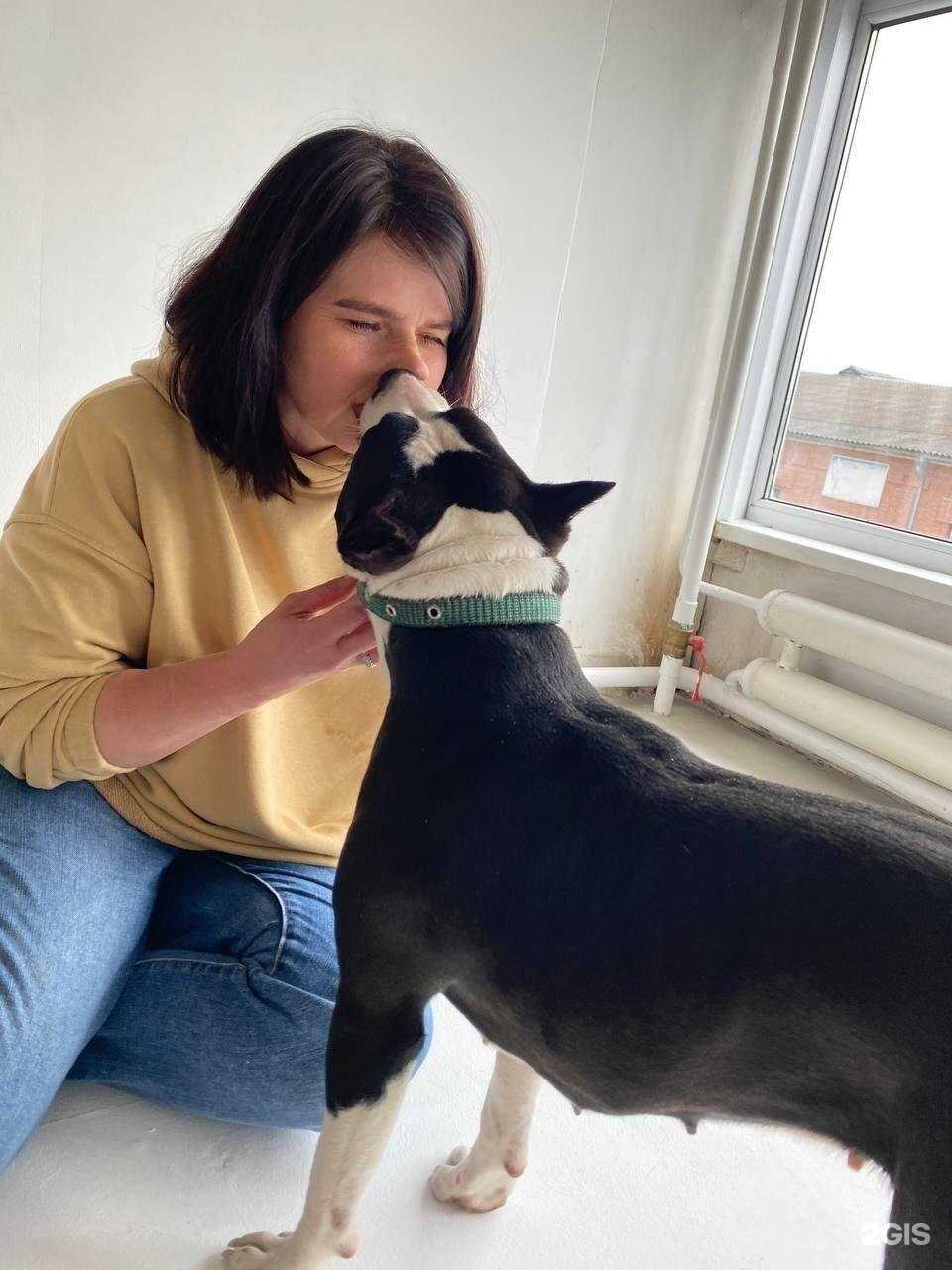 Отзывы на компанию Хвостатый hotel в Минусинске c фото