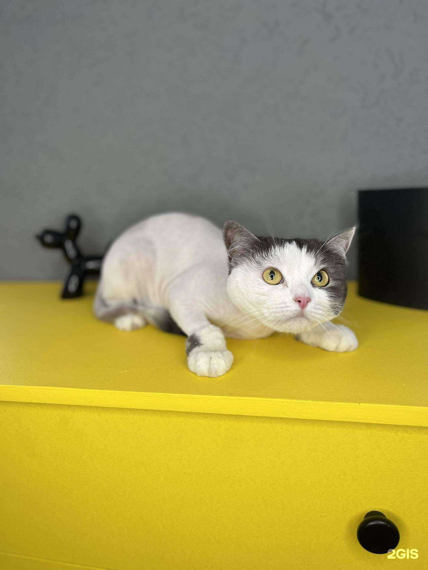 Отзывы на компанию Колтунов.net в г. Бийск c фото