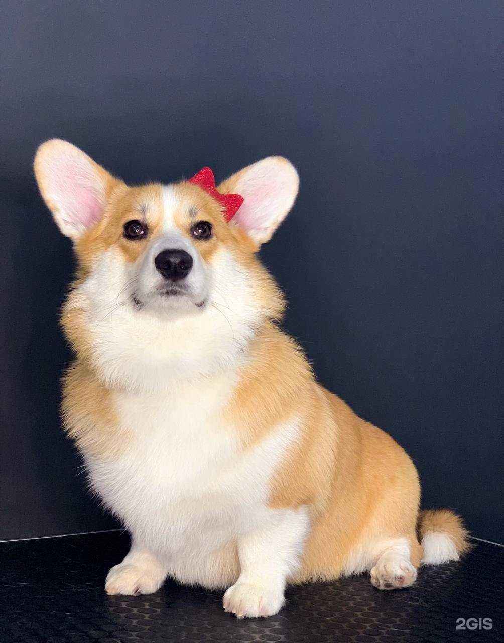 Отзывы на компанию Groombox в г. Самара c фото