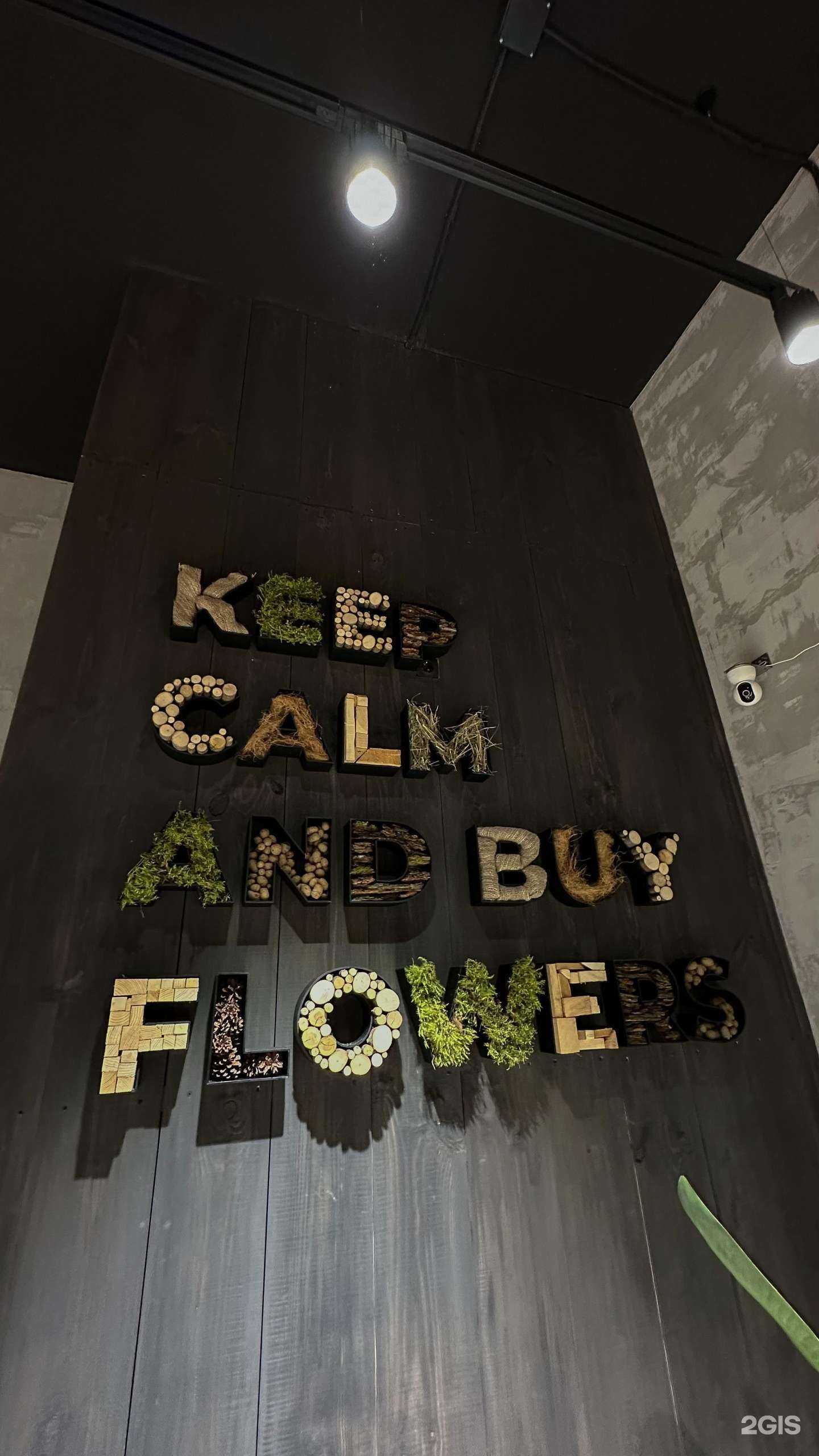 Отзывы на компанию Флориде в г. Дубна c фото