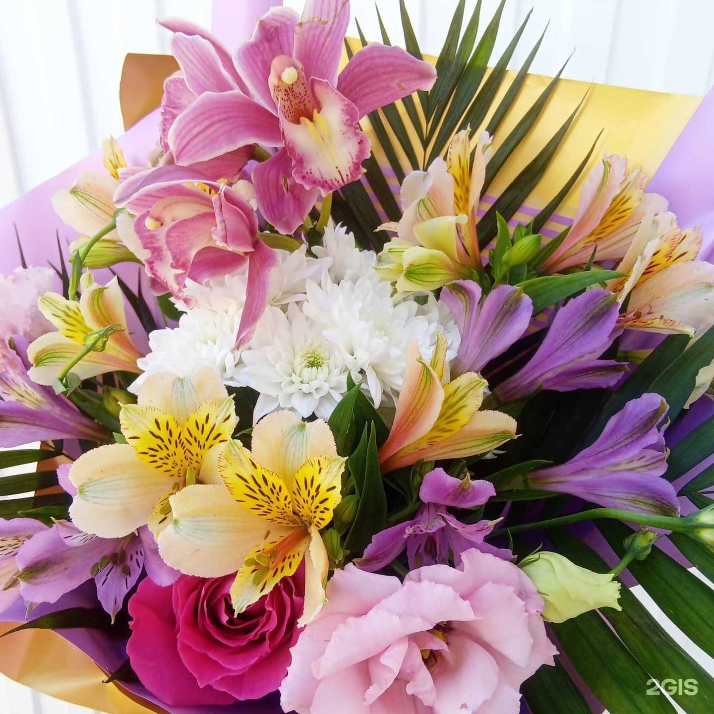 Отзывы на компанию Pro Букет в Энгельсе c фото