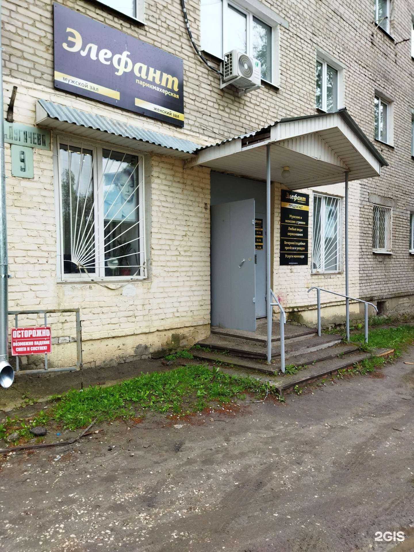 Отзывы на компанию Элефант в г. Ковров c фото