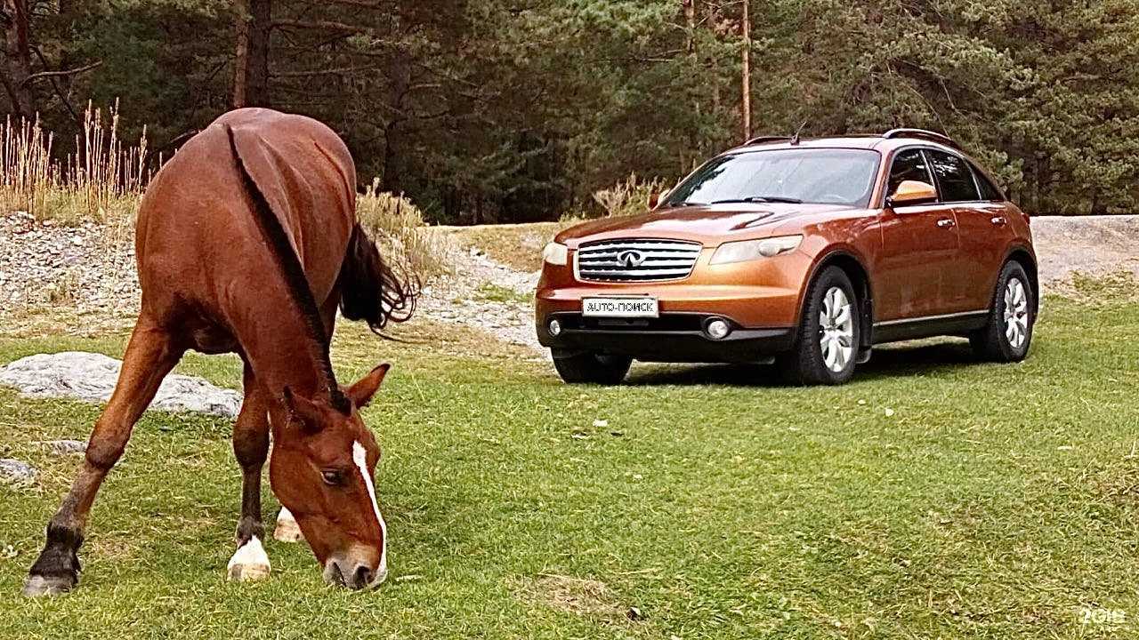 Отзывы на компанию Auto-поиск в г. Томск c фото