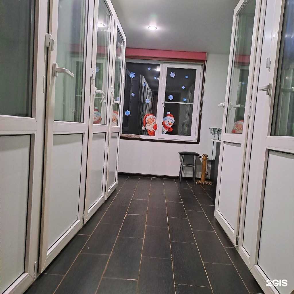 Отзывы на компанию Кошачий отель в г. Волгоград c фото