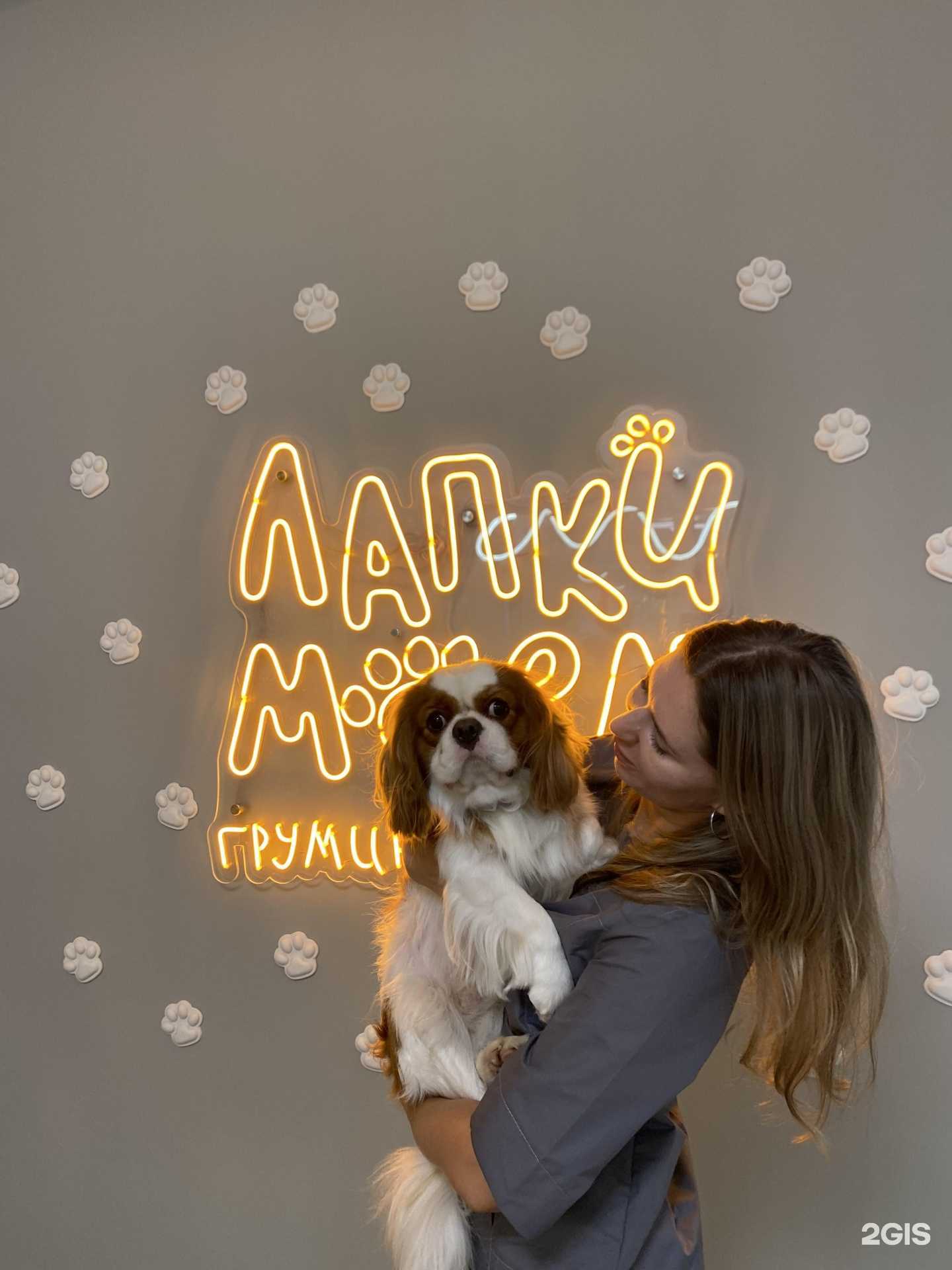 Отзывы на компанию Лапки моем в Краснодаре c фото