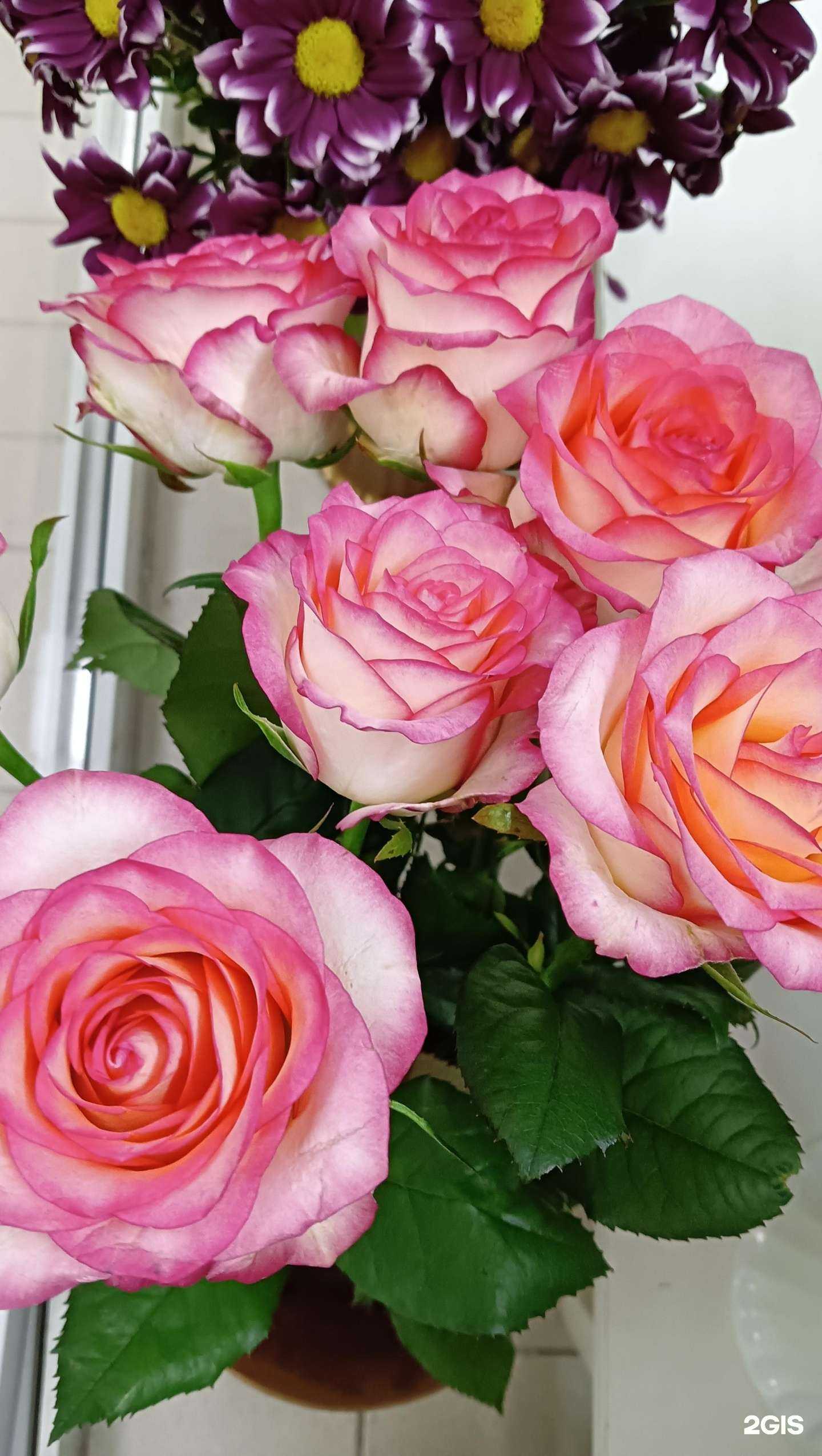 Отзывы на компанию Mill Rose в г. Старый Оскол c фото