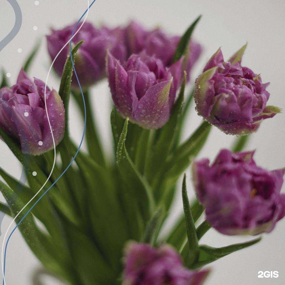 Отзывы на компанию Киндер Медика в г. Пенза c фото