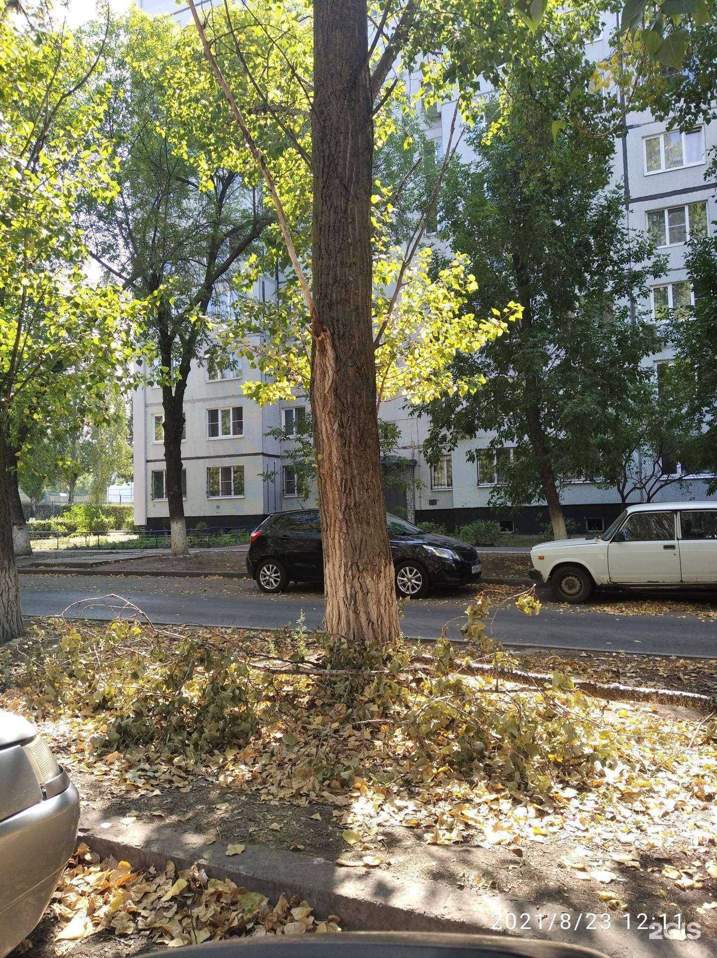 Отзывы на компанию Для всей семьи в Тольятти c фото - фотография 2 из 2