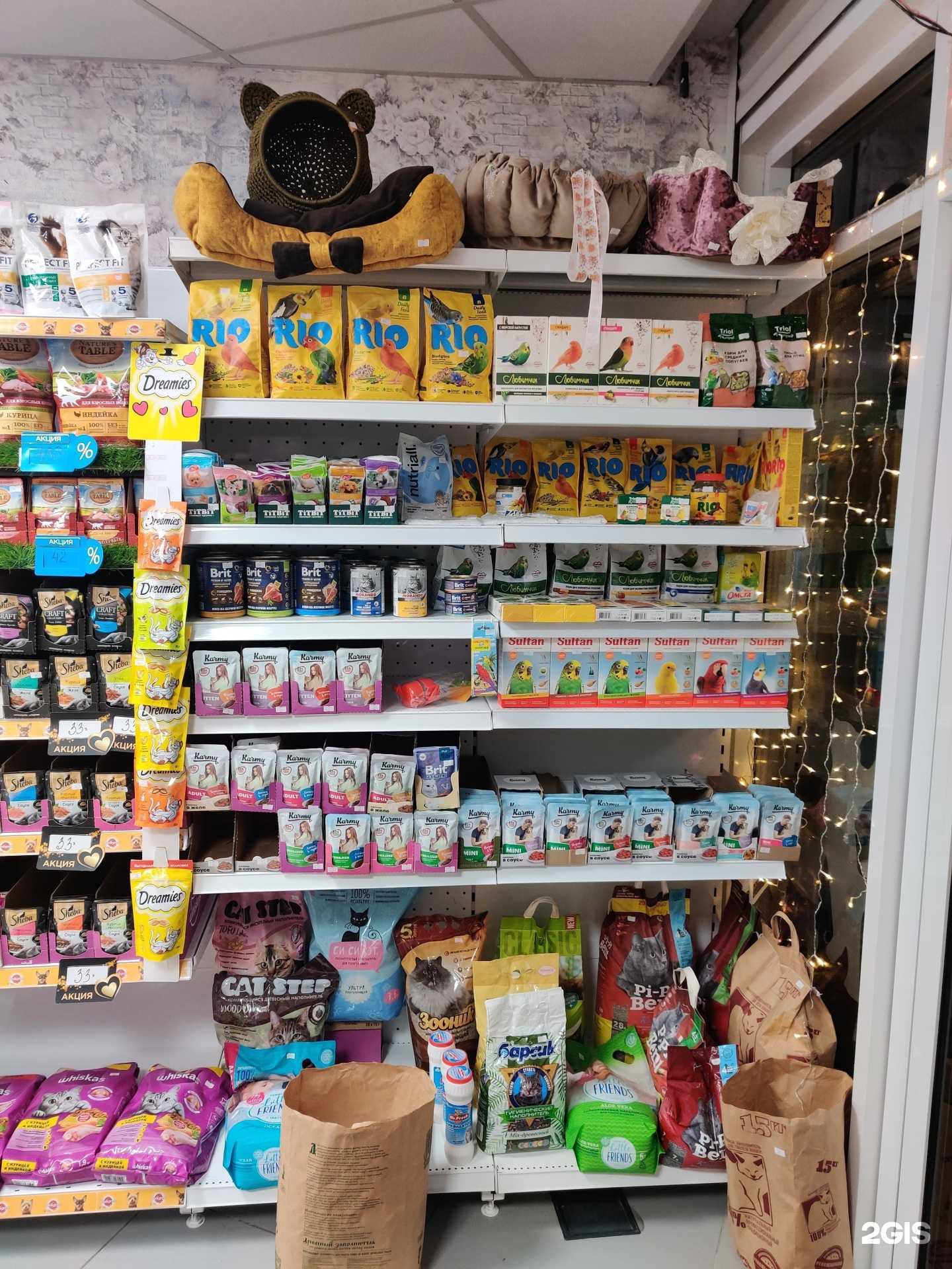 Отзывы на компанию ЗооЛёва в Ростове-на-Дону c фото