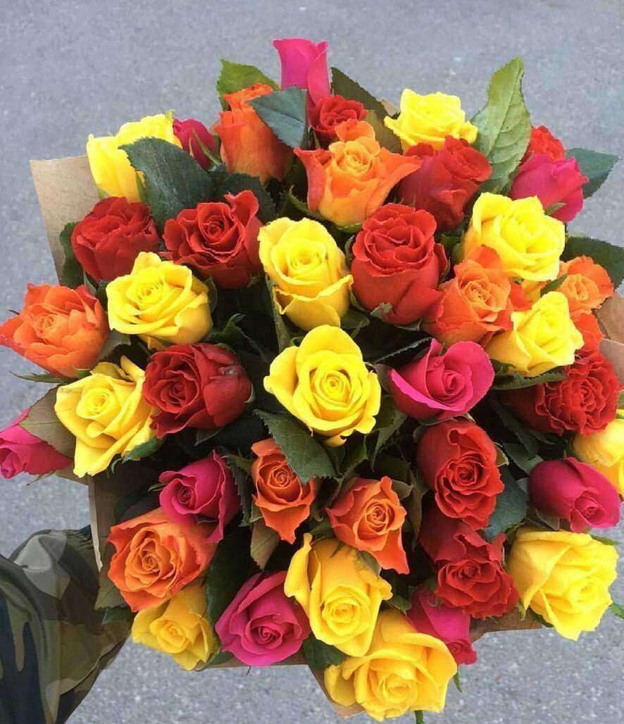 Отзывы на компанию Донна Роза в г. Северодвинск c фото