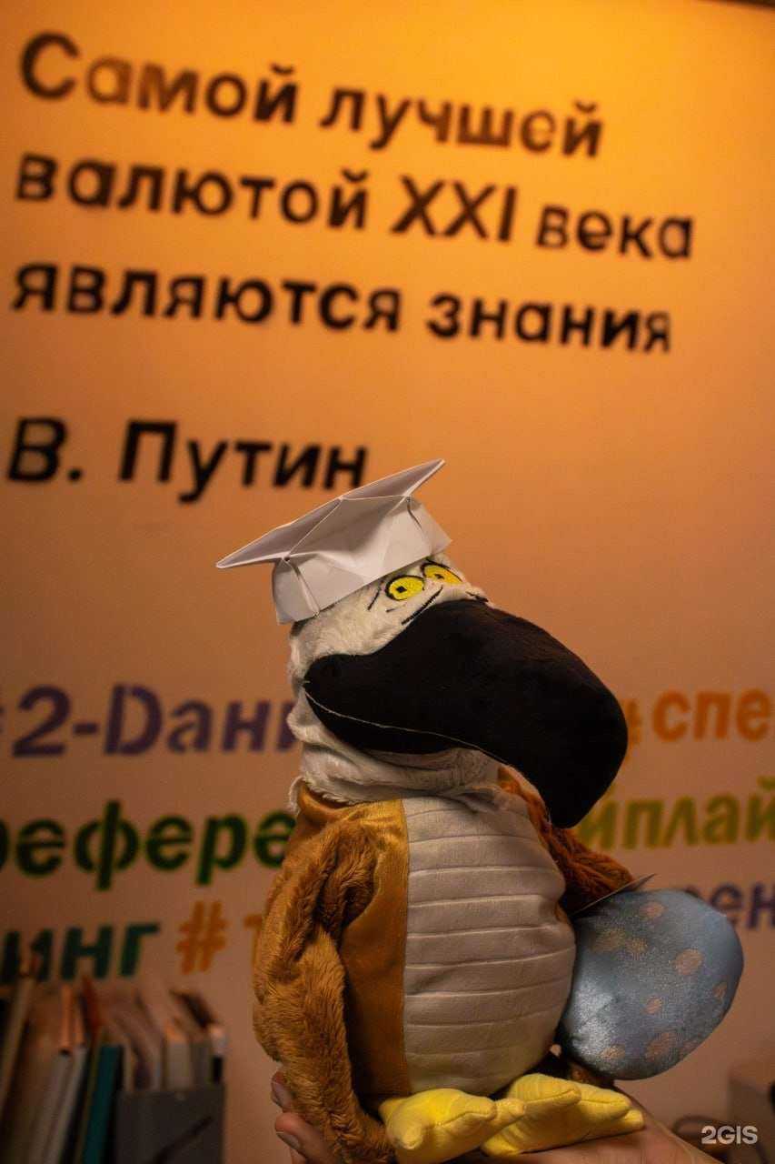 Отзывы на компанию Дино в г. Краснодар c фото