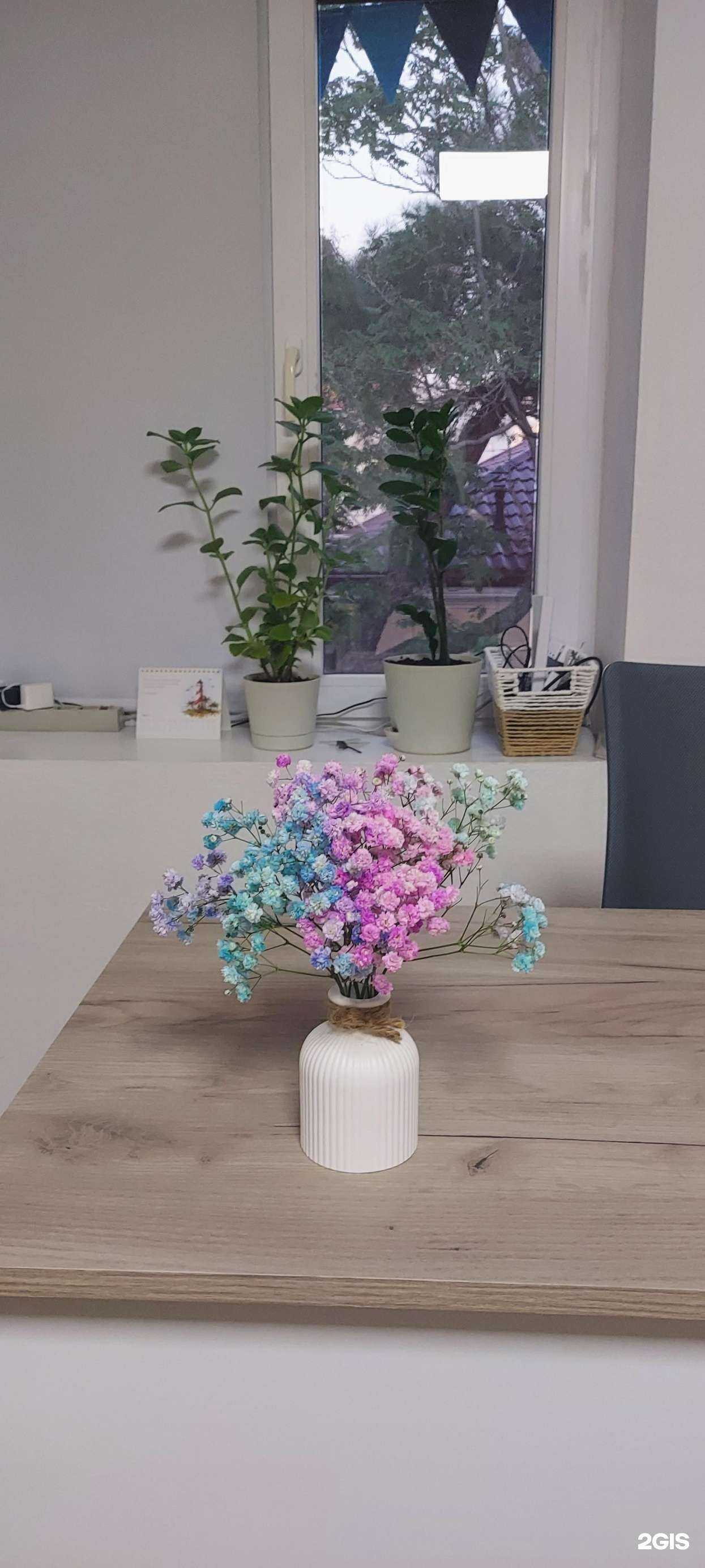 Отзывы на компанию Кабинет репетитора в Геленджике c фото