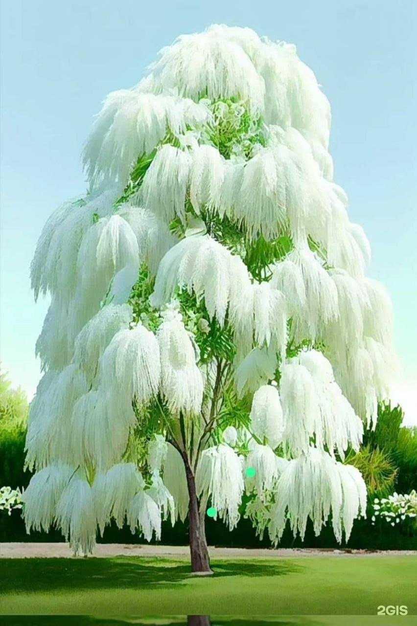 Отзывы на компанию Анастасия в Екатеринбурге c фото