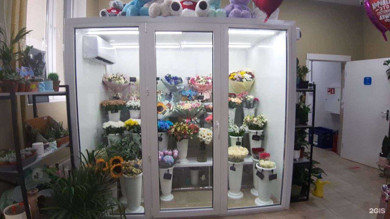 Отзывы на компанию Кактус в г. Балашиха c фото