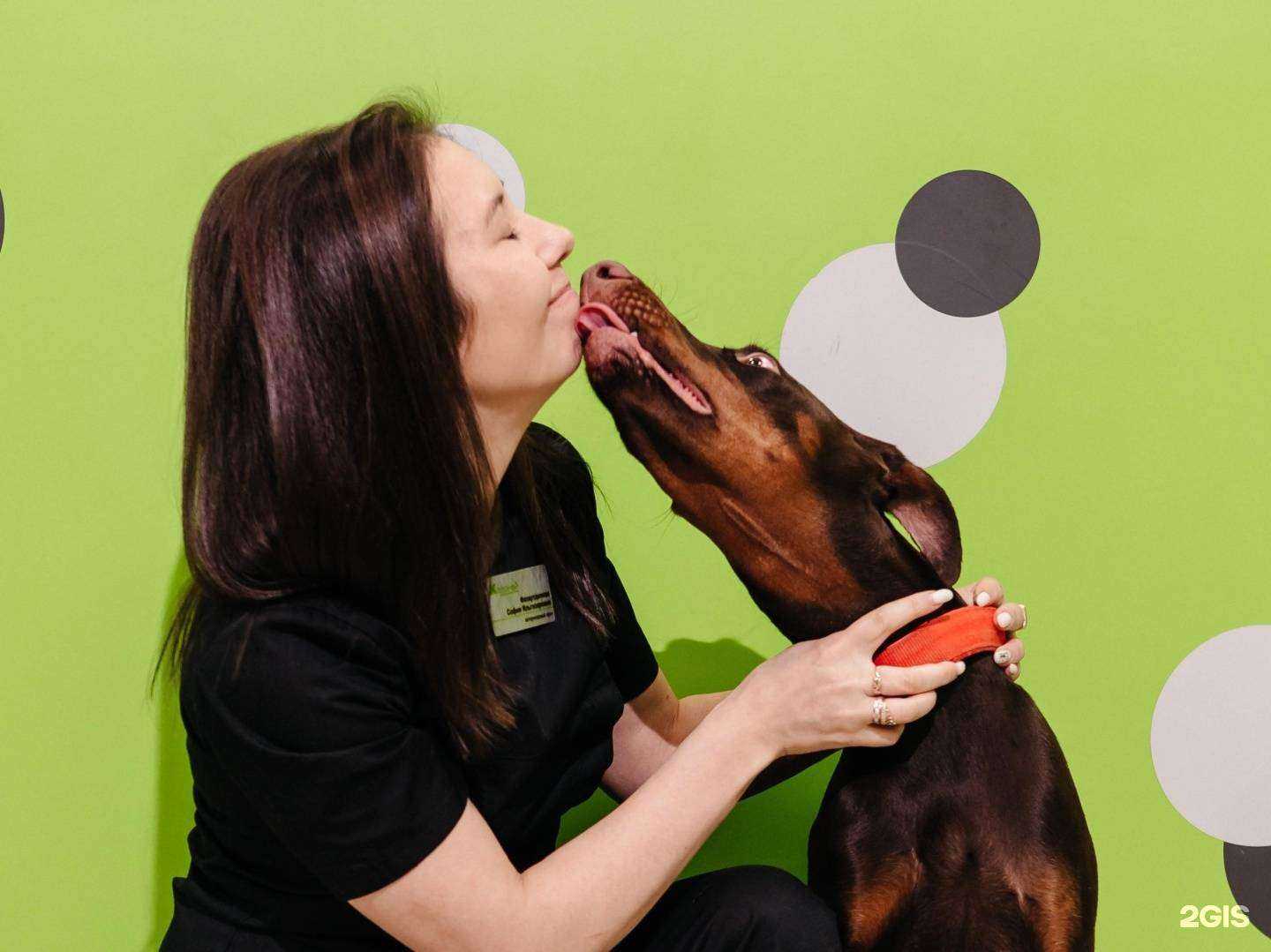 Отзывы на компанию Котонай в г. Иваново c фото