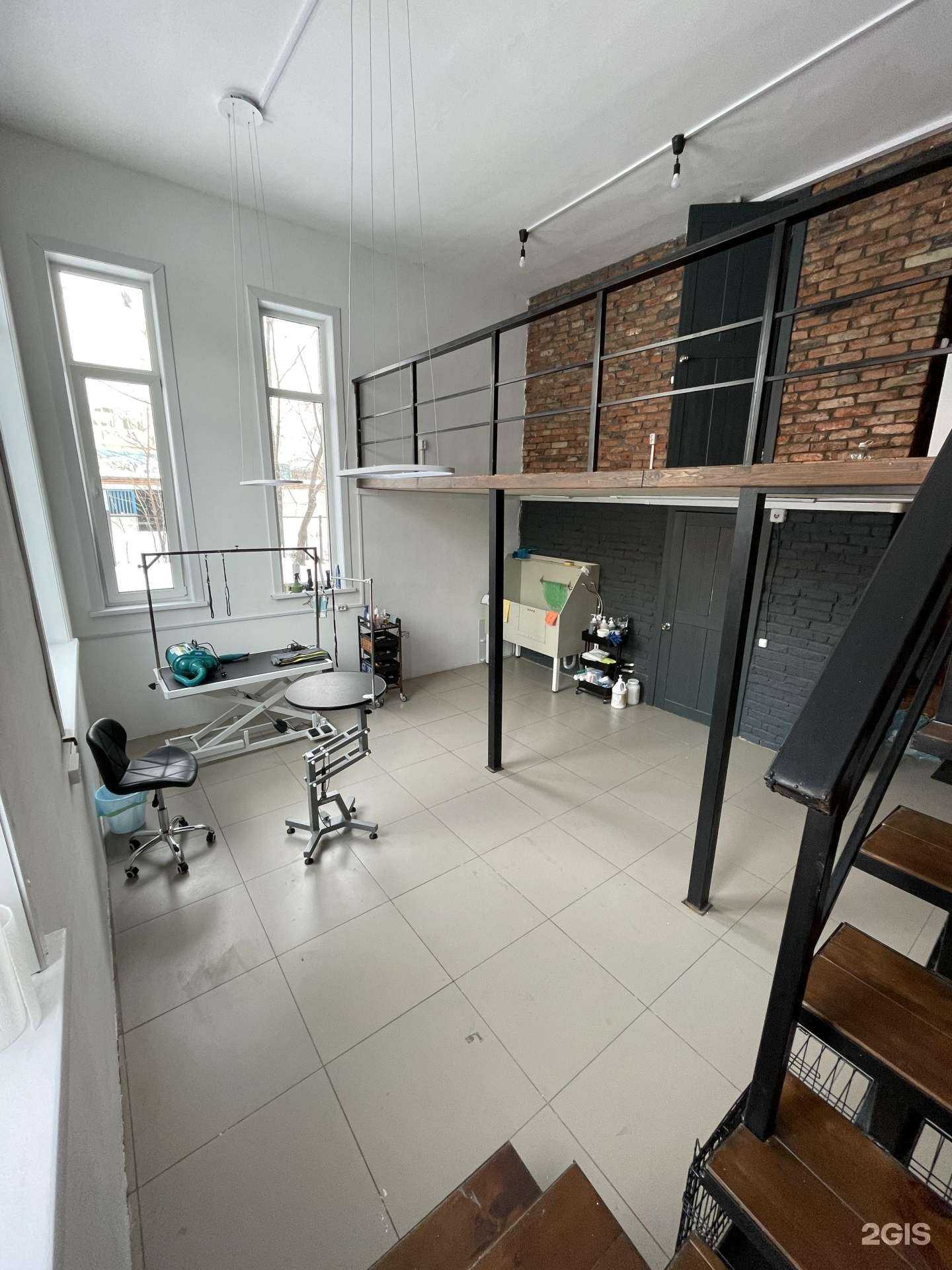 Отзывы на компанию Студия груминга Натали Найко в Хабаровске c фото