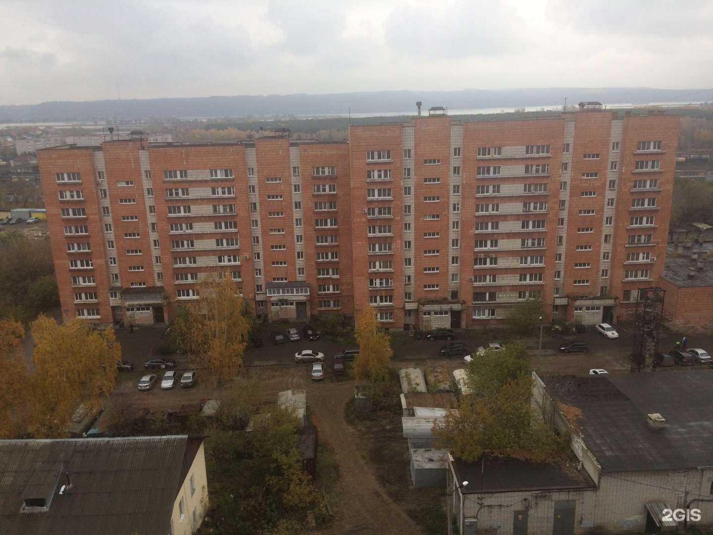 Отзывы на компанию Школа каратэ кёкусинкай-кан Республики Татарстан в Казани c фото - фотография 2 из 2