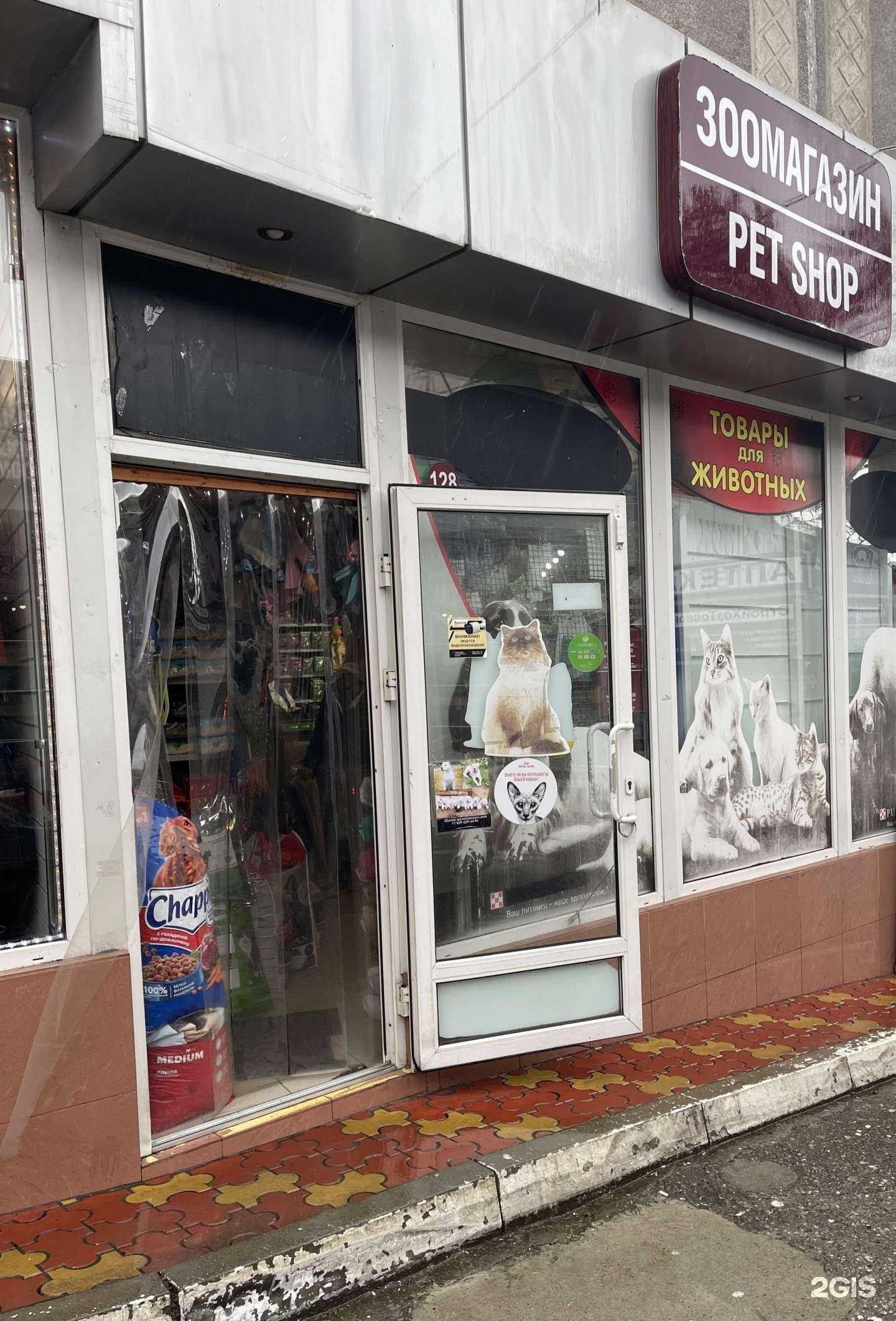 Отзывы на компанию Моська в г. Сочи c фото