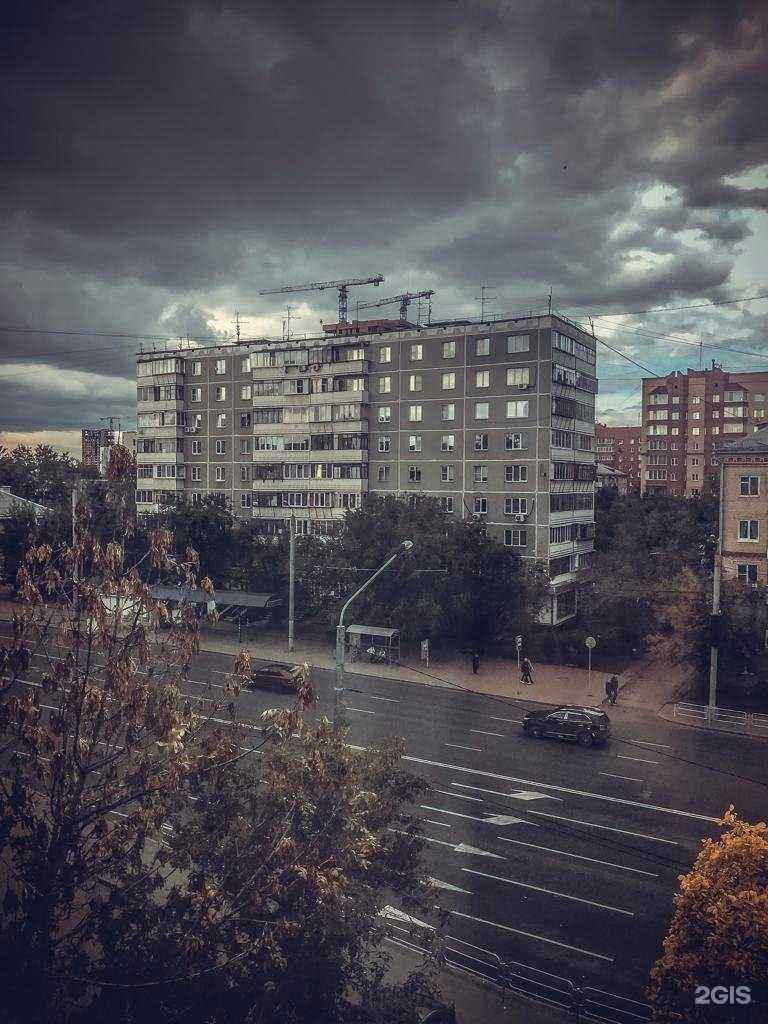 Отзывы на компанию Здоровый Питомец в Челябинске c фото - фотография 2 из 2