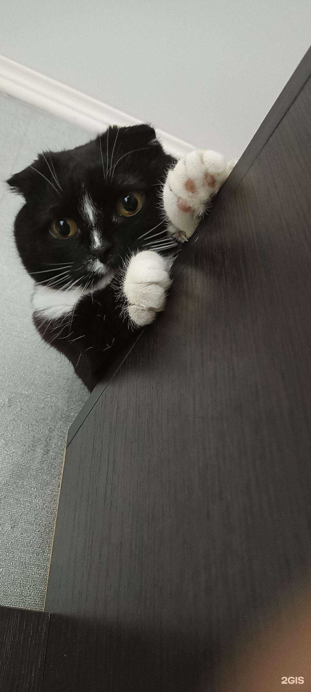 Отзывы на компанию Беркут в Туле c фото