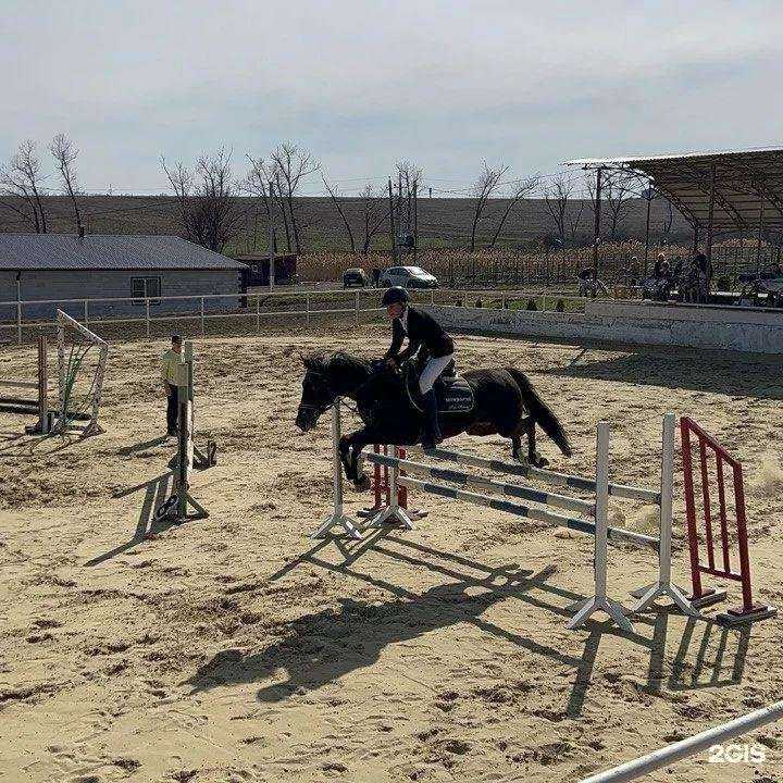 Отзывы на компанию Аллюр в Батайске c фото