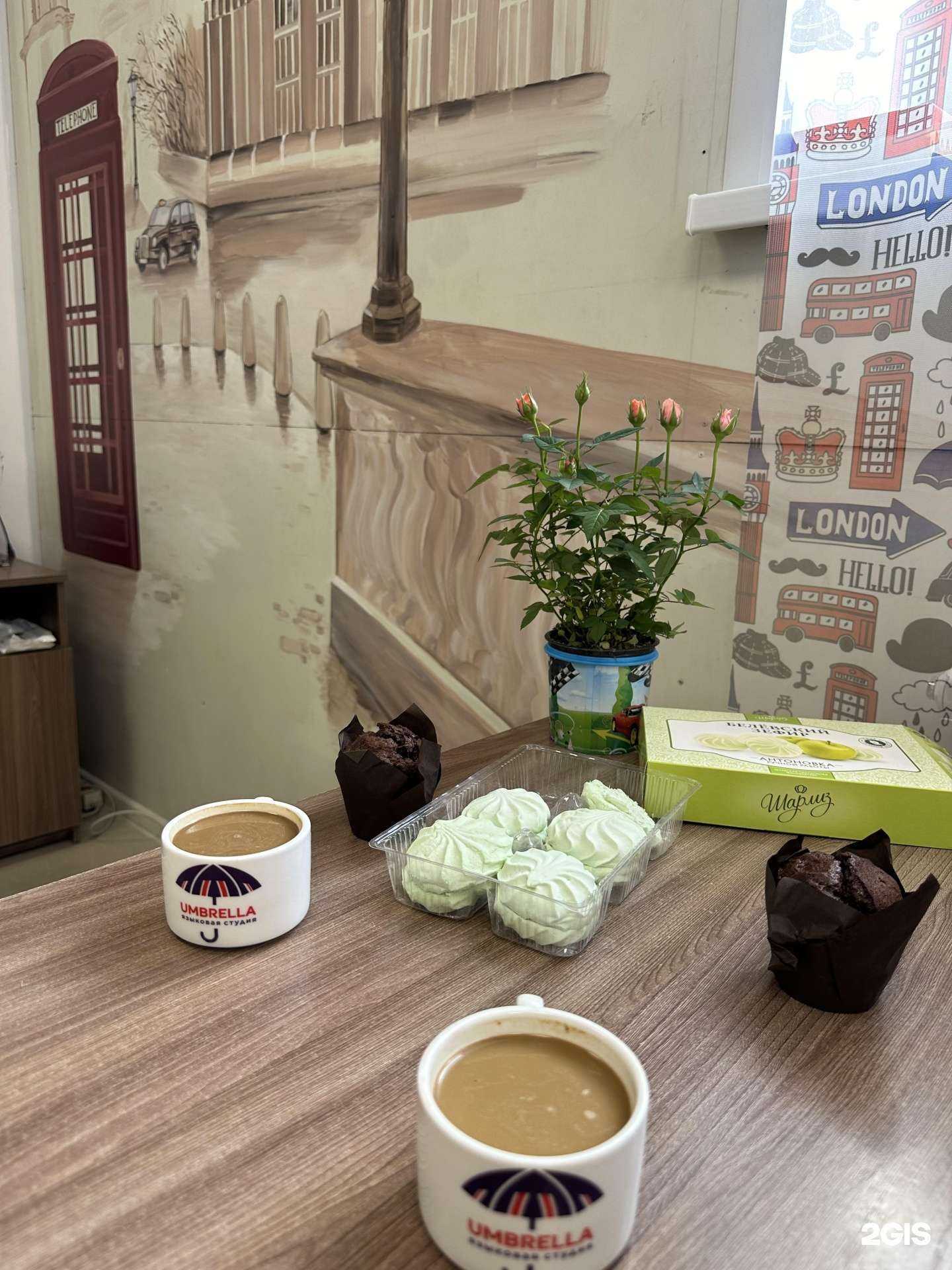 Отзывы на компанию Umbrella в Барнауле c фото