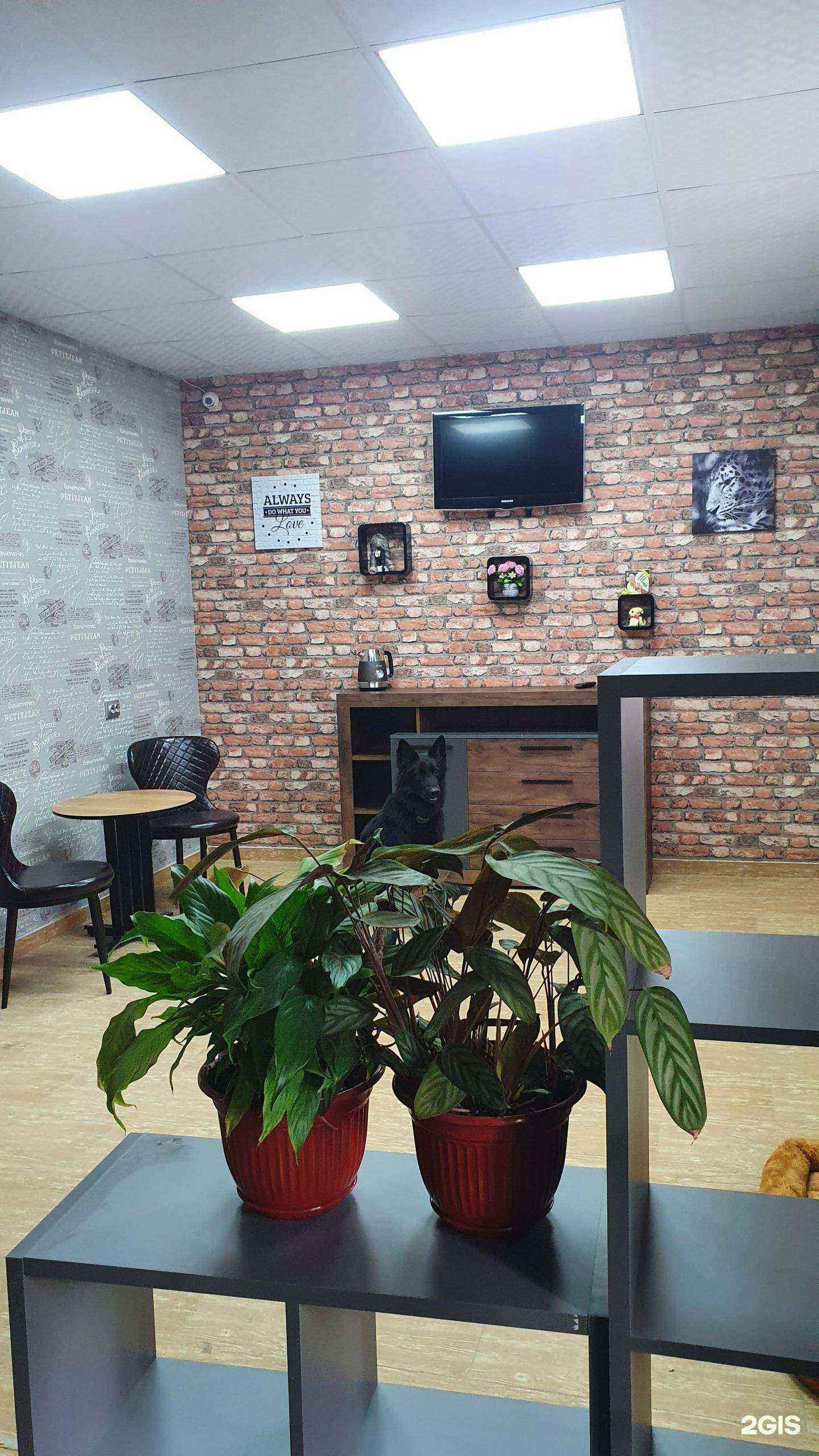 Отзывы на компанию Артемон в Южно-Сахалинске c фото