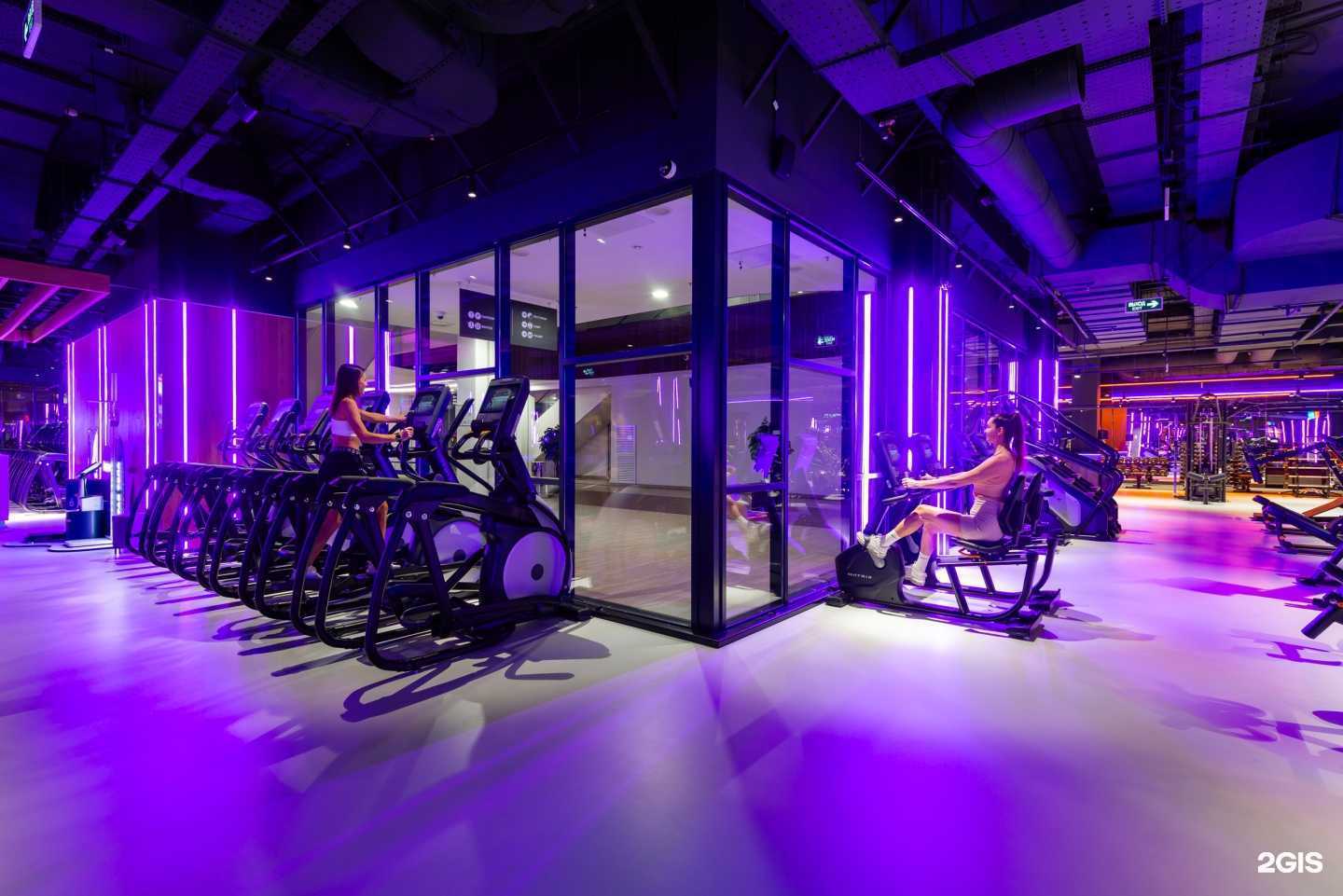 Отзывы на компанию DDX Fitness в г. Красноярск c фото