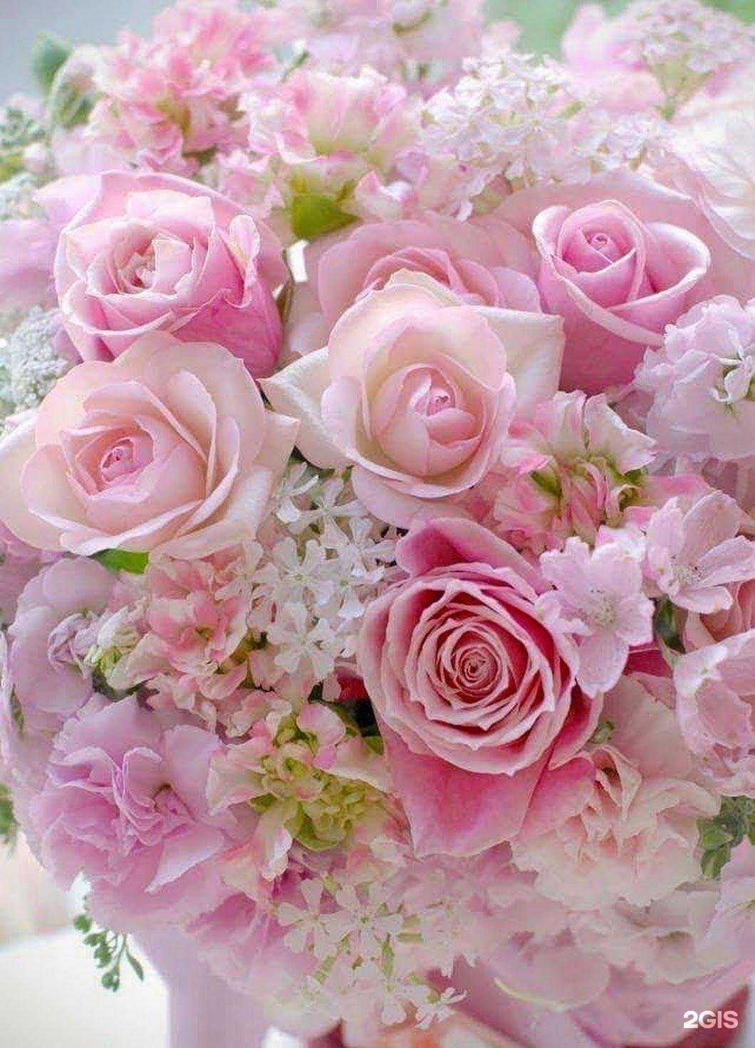 Отзывы на компанию Российский социальный в Ульяновске c фото