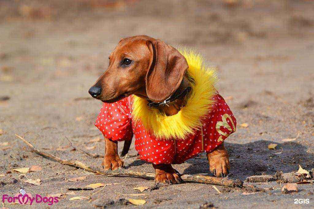 Отзывы на компанию Рекси в г. Владивосток c фото