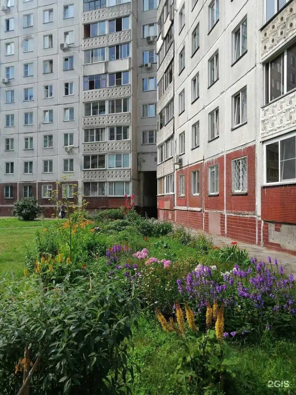 Отзывы на компанию Сажа-Нск в Новосибирске c фото