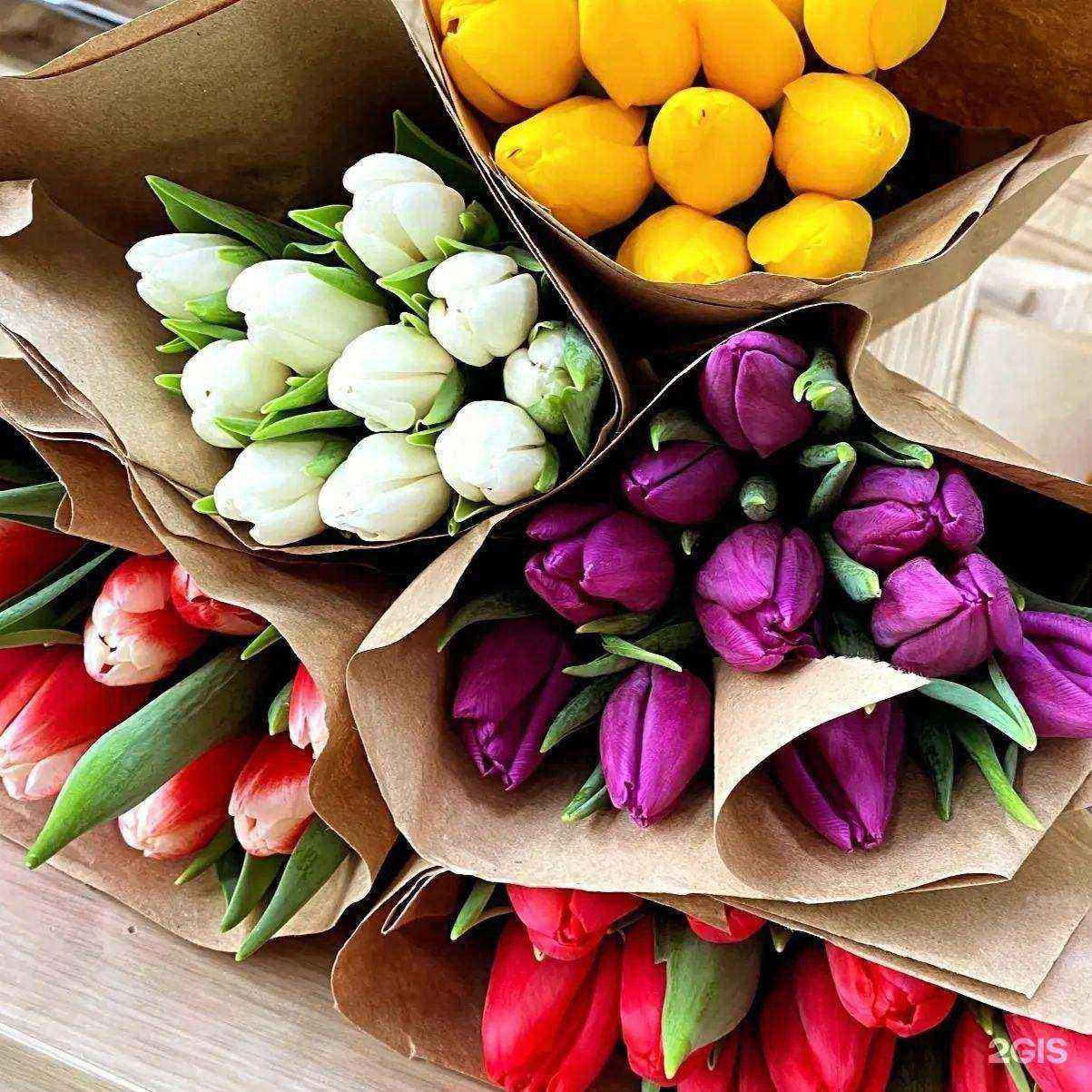 Отзывы на компанию Филфлора в г. Омск c фото