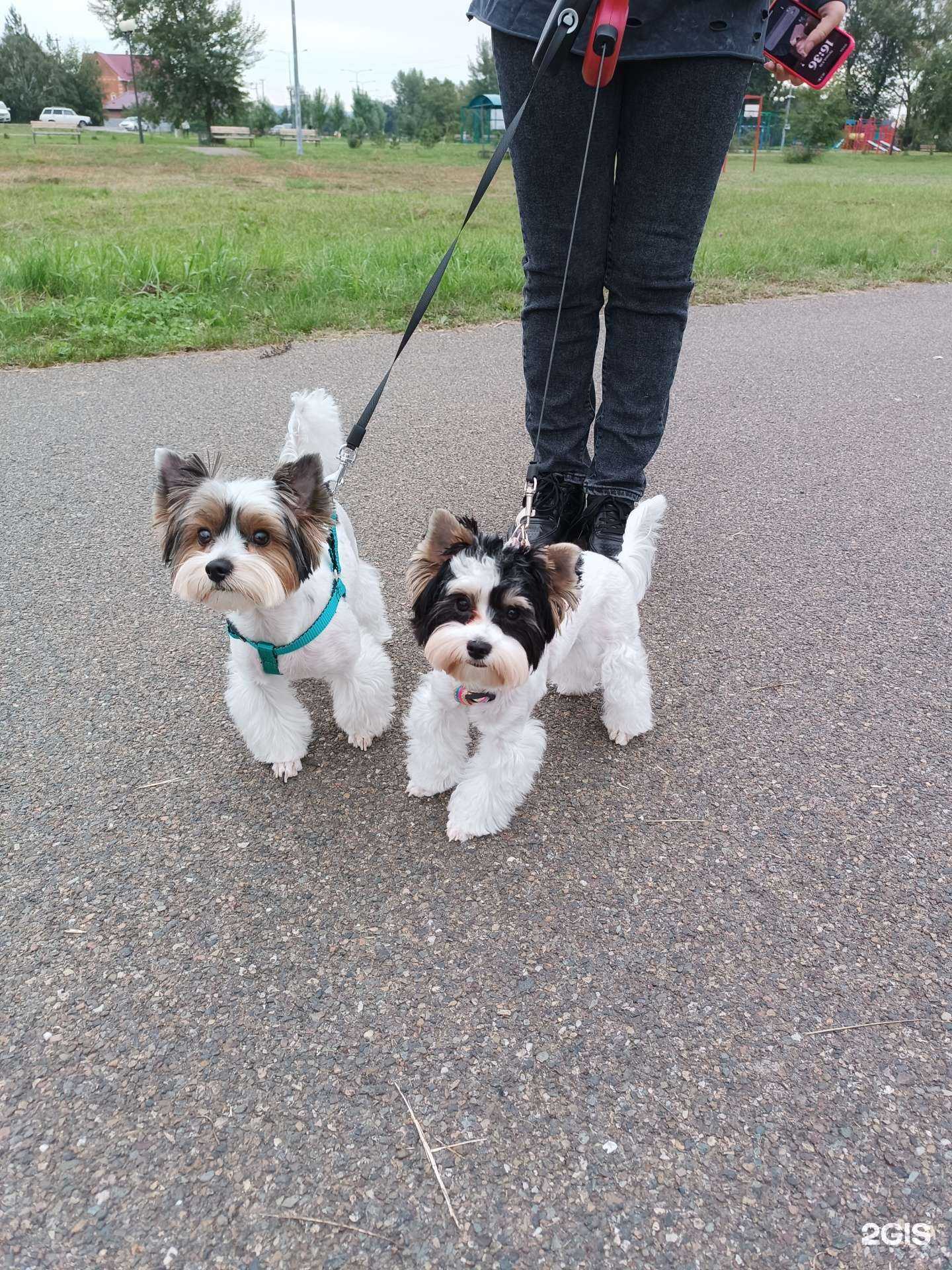 Отзывы на компанию Nana в г. Абакан c фото