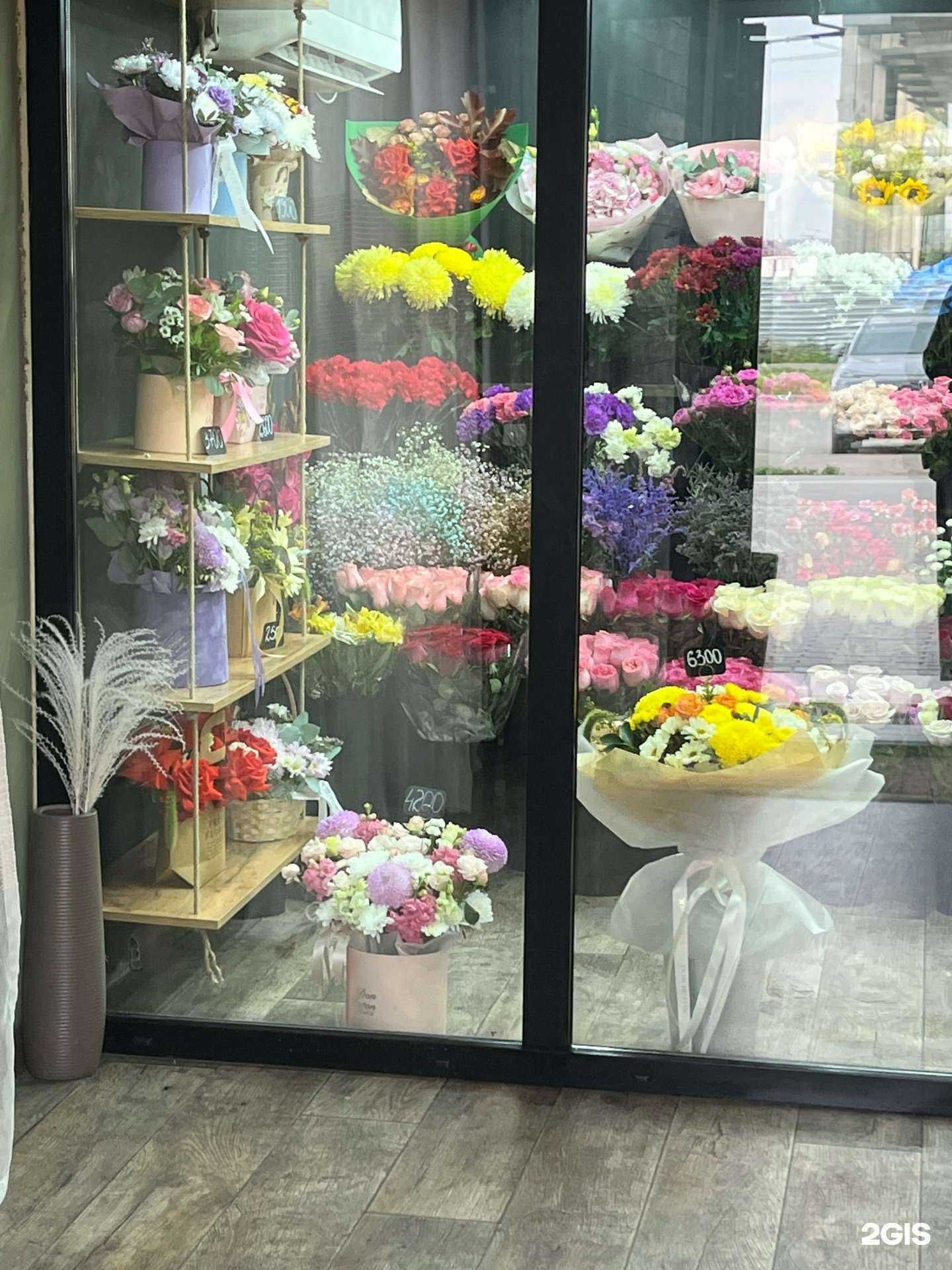 Отзывы на компанию Don buton в Барнауле c фото