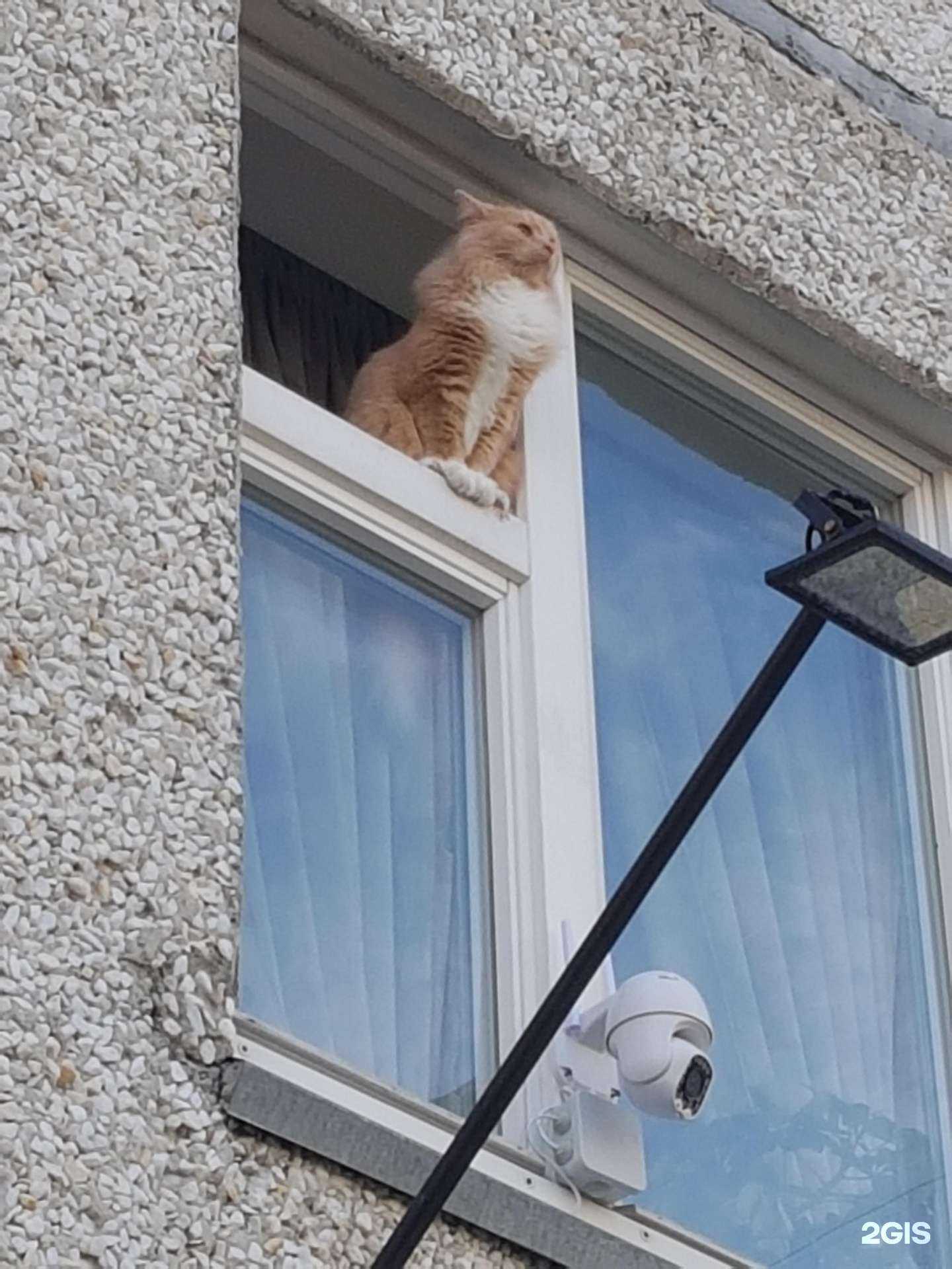 Отзывы на компанию Живая вода в Тюмени c фото - фотография 2 из 2