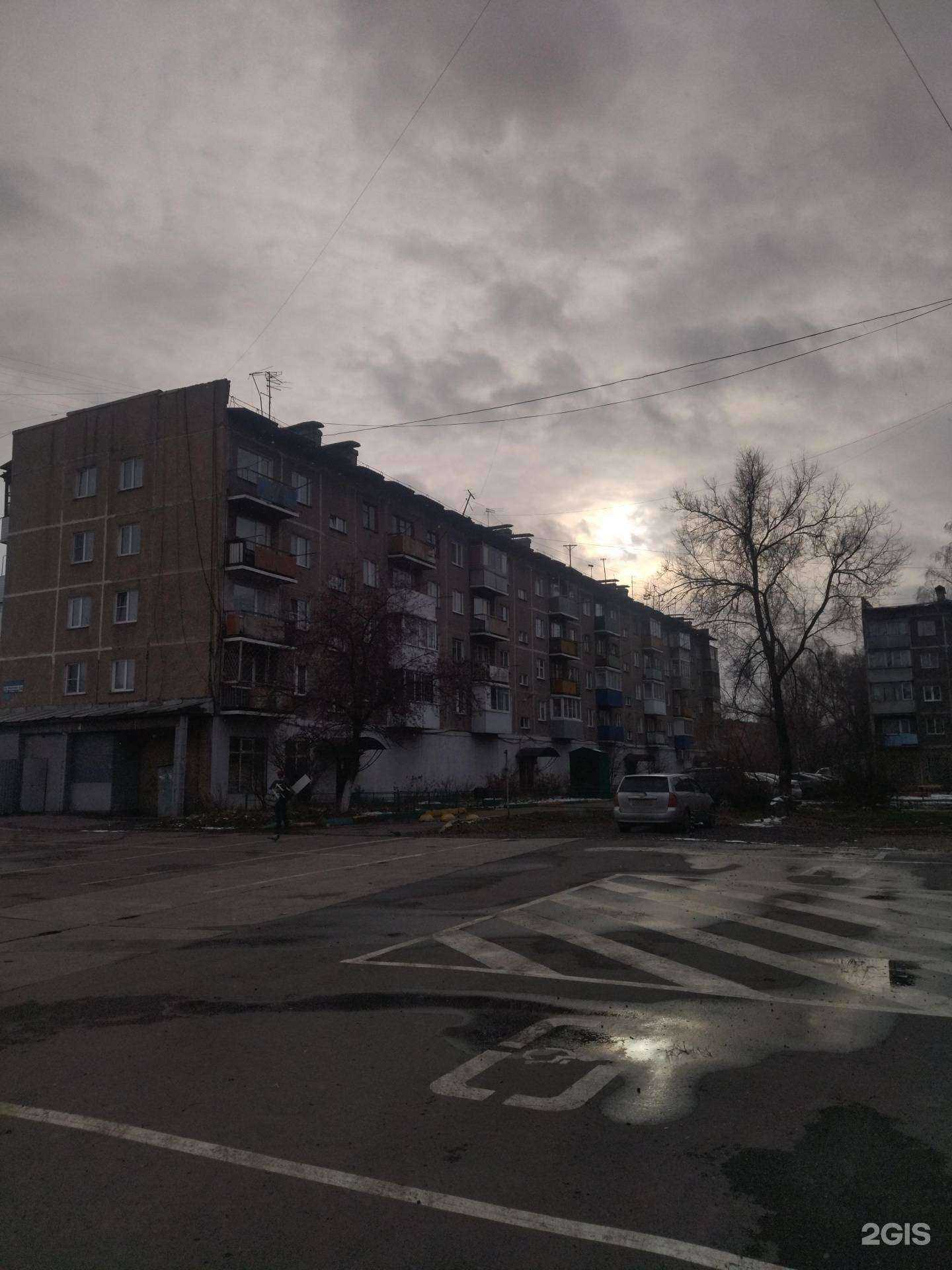 Отзывы на компанию Big dog в Новокузнецке c фото - фотография 2 из 2