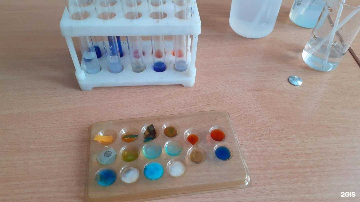 Отзывы на компанию УмникУм в Златоусте c фото