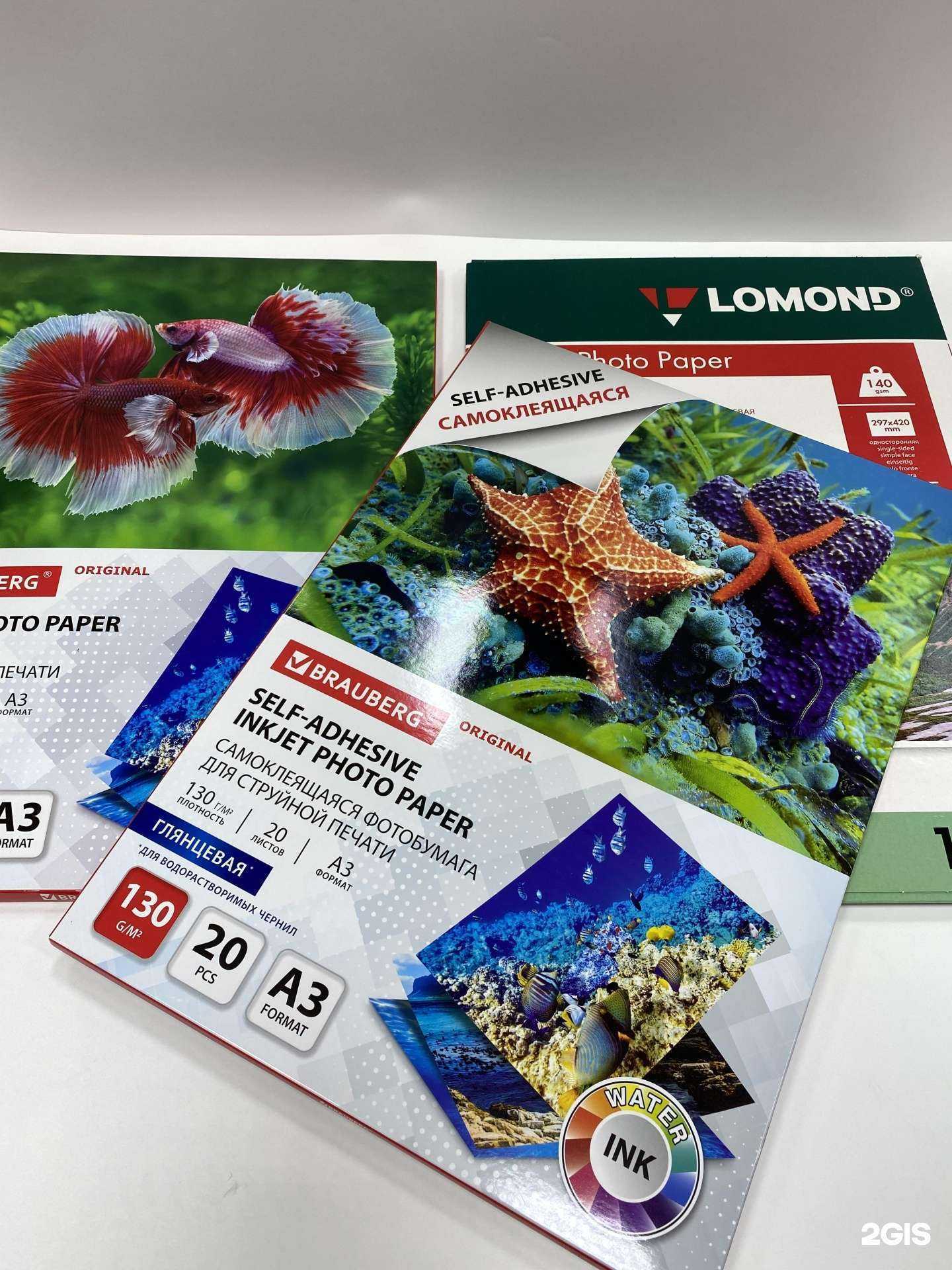 Отзывы на компанию Мультимедиа в г. Абакан c фото