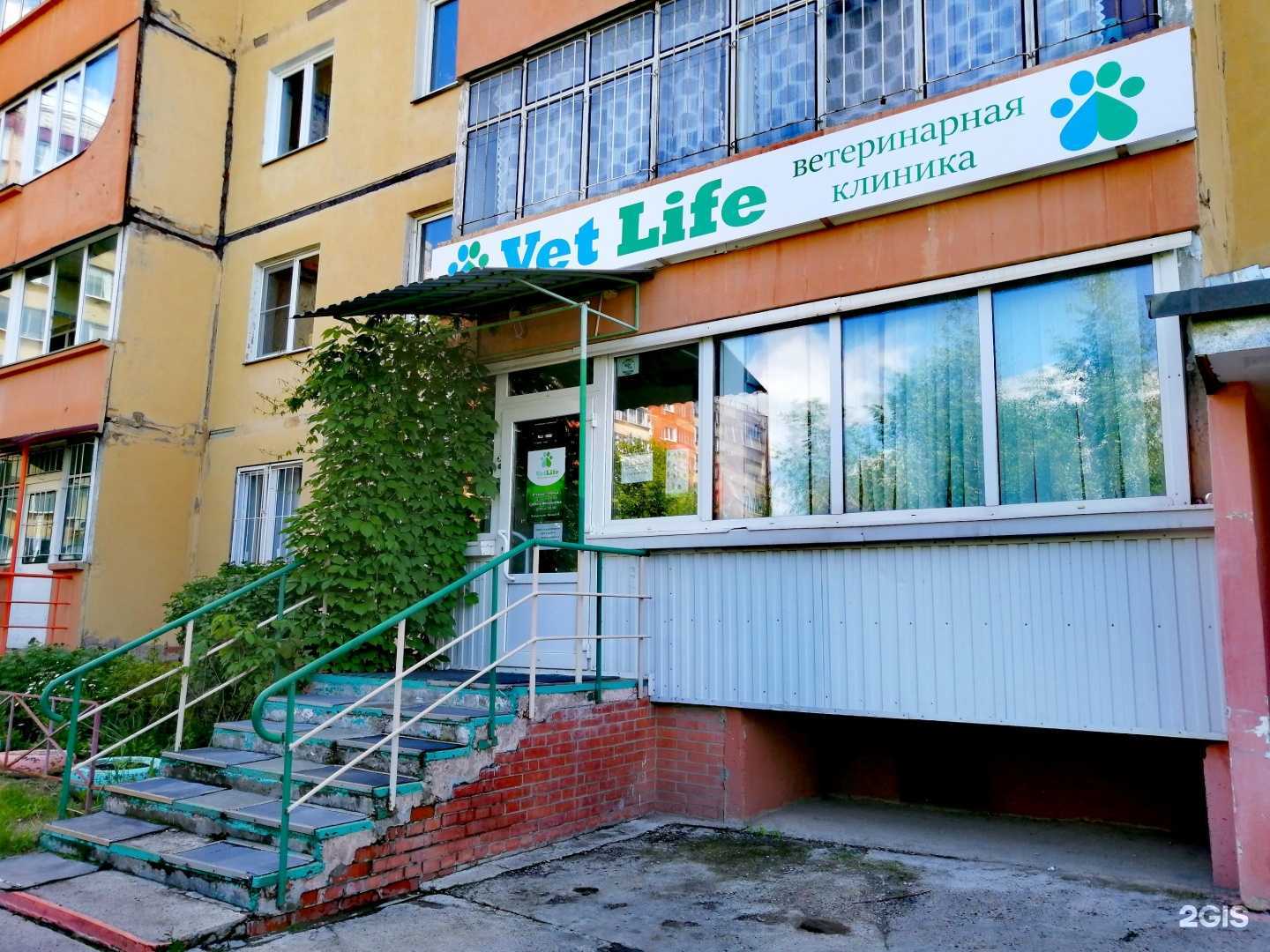Отзывы на компанию Vetlife в Сосновоборске c фото