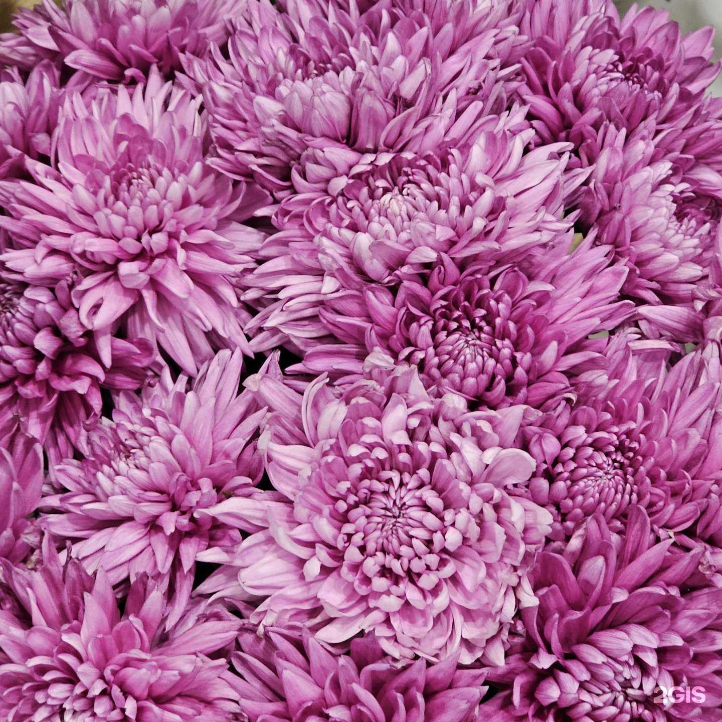 Отзывы на компанию Цветы в мире в Уфе c фото