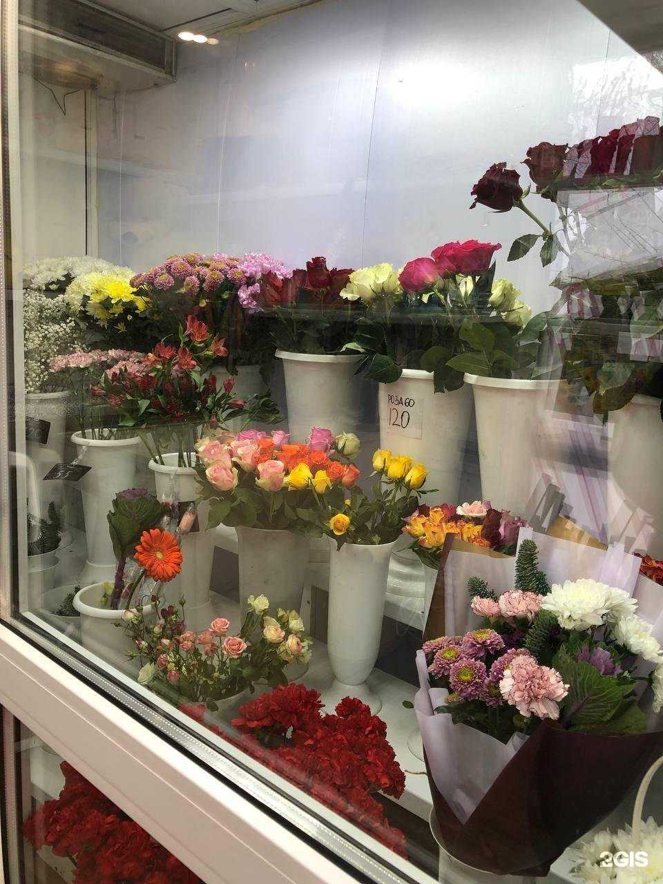 Отзывы на компанию Клумба в Омске c фото