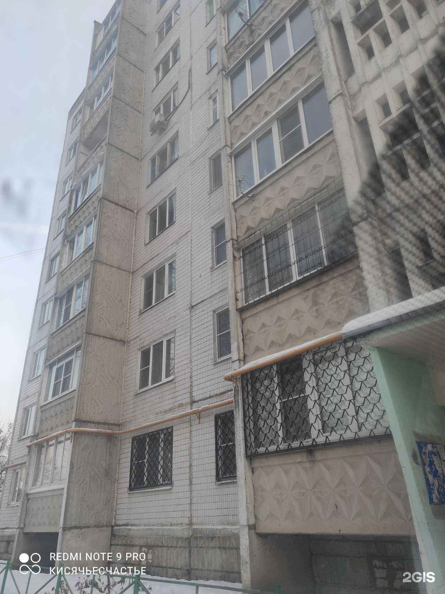 Отзывы на компанию Бенджамин в Твери c фото - фотография 2 из 2