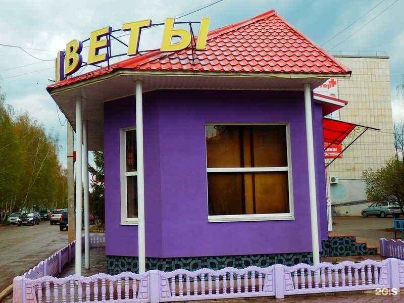 Отзывы на компанию Салон цветов в г. Туймазы c фото